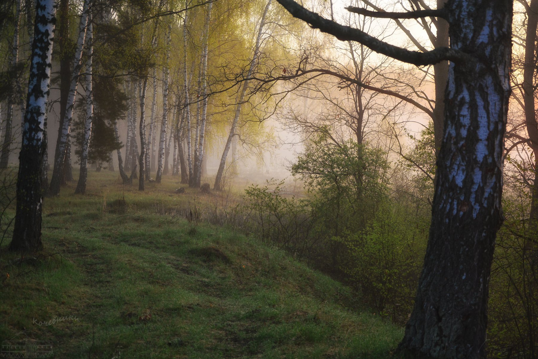 пейзаж, туман, рассвет, акварель, Юлия Абрамова