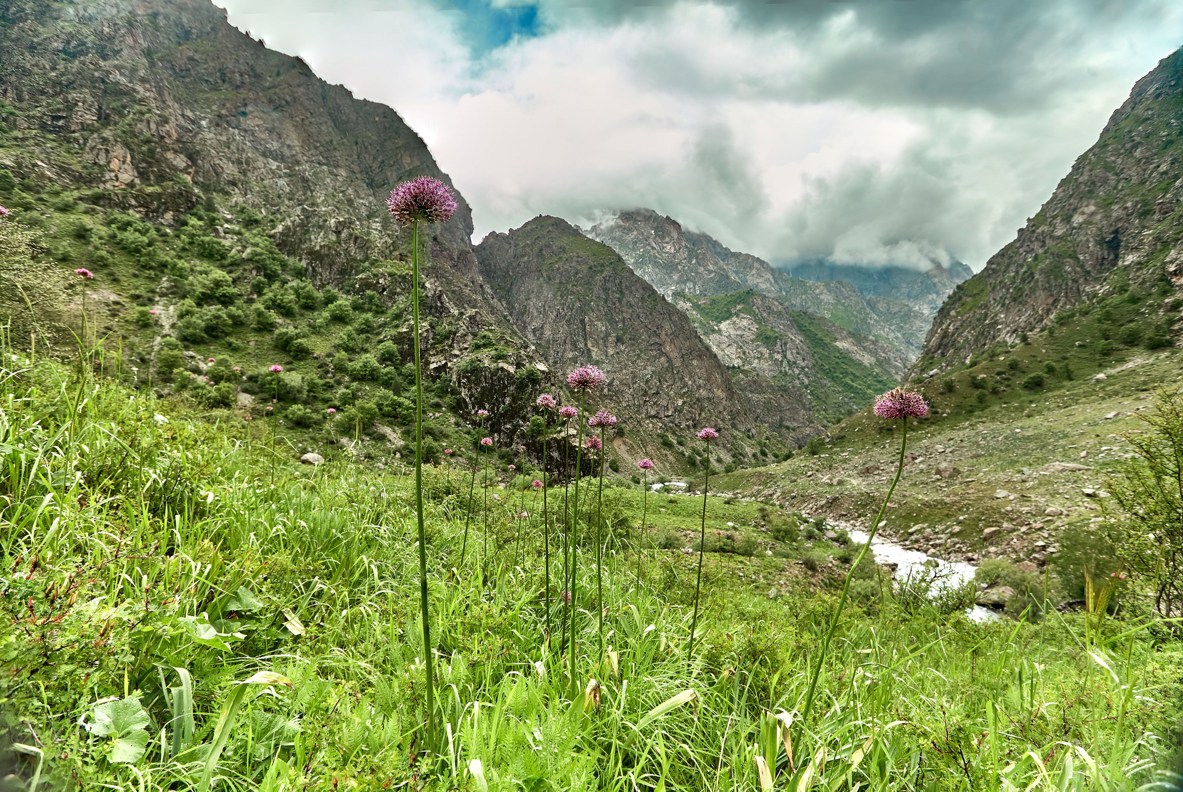 Варзобское ущелье таджикистан фото