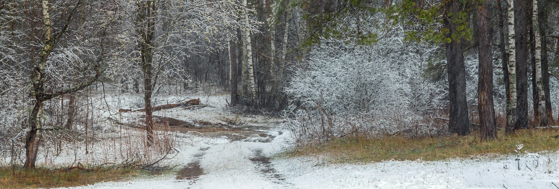 апрель снег лес опушка дорога, Дмитрий Алексеев