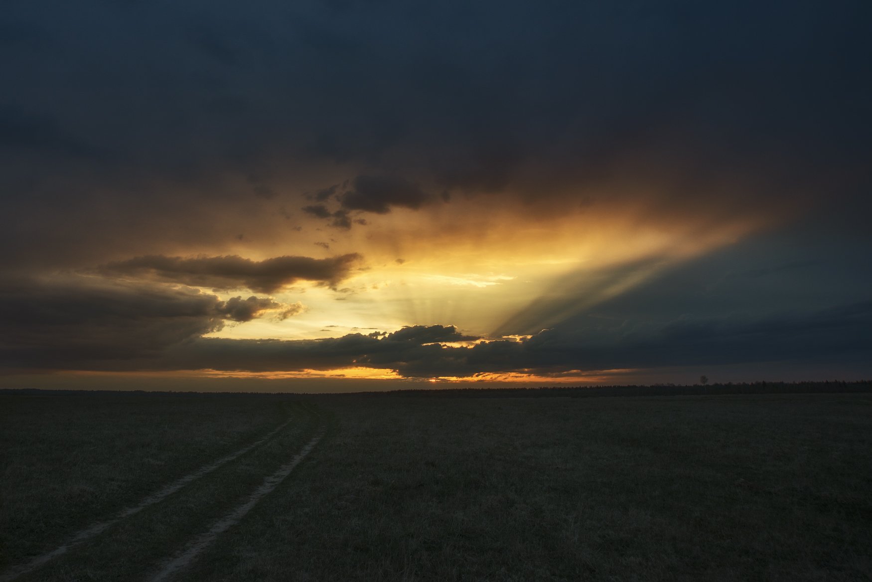 закат,весна,поле,солнце., Руслан Соколов