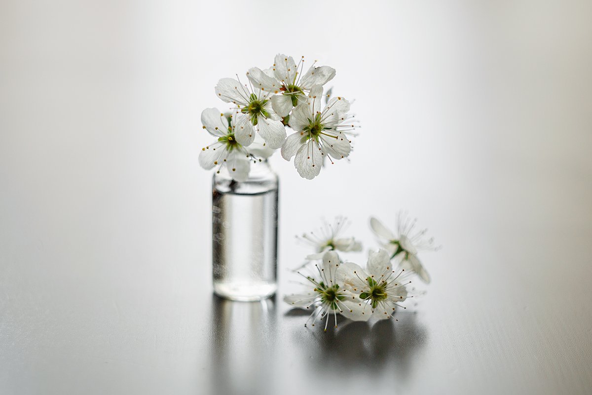 натюрморт цветы вишня белый макро, Михаил Корнилов