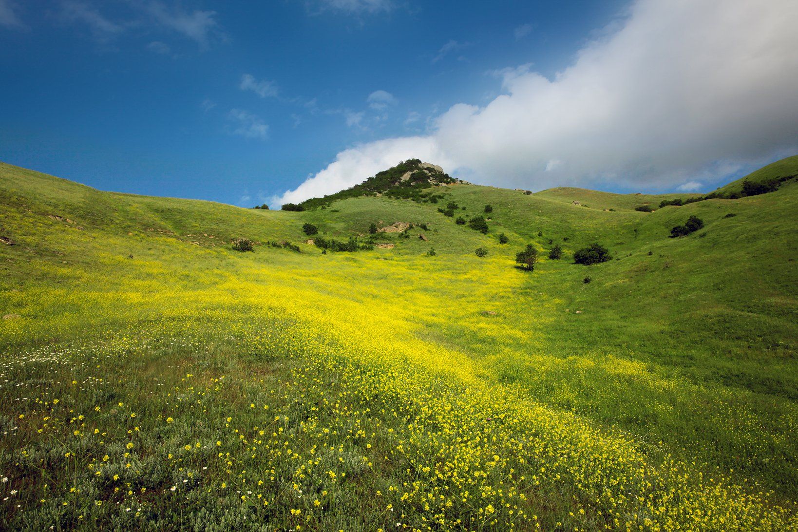 весна,цветы,горы,вершины,пейзаж,небо,деревья,дагестан,природа, Marat Magov