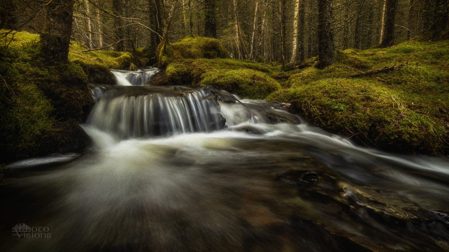forest, boreal,norway,norwegian,tree,trees,water,waterfall,river,stream,spring,moss,mossy,, Adrian Szatewicz