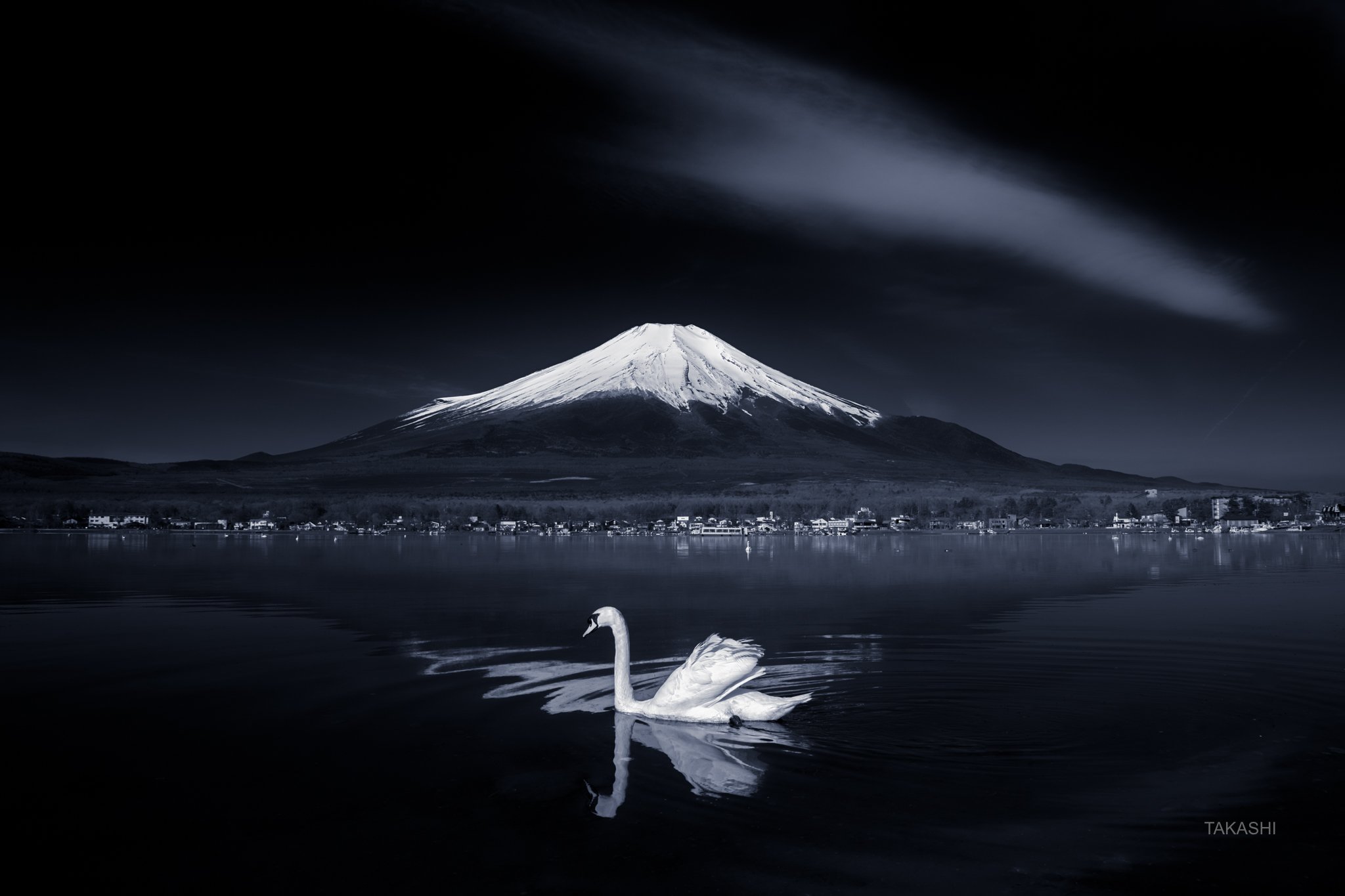 Fuji,Japan,mountain,swan,bird,cloud,lake,water,refelection,swim, Takashi