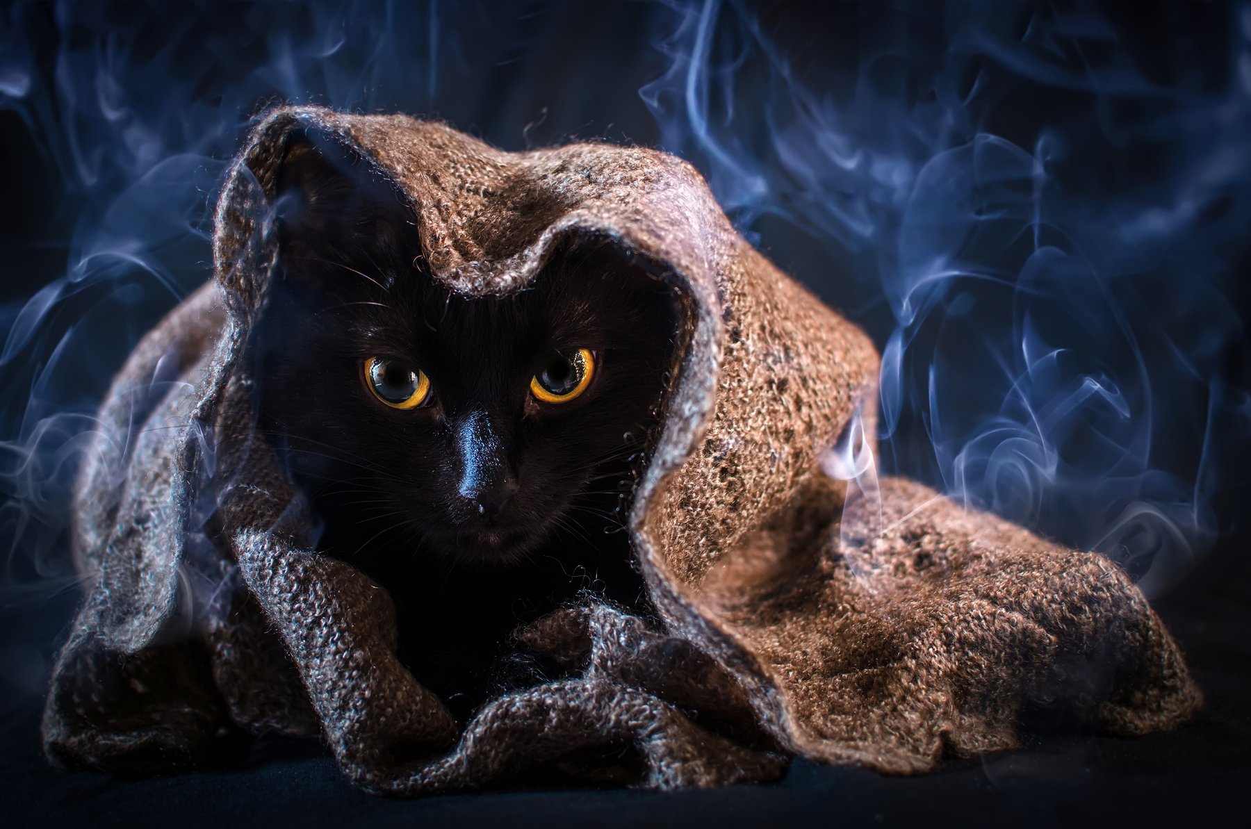 кошка,чёрная,ведьма,мистика,дым,колдовство,животное,питомец, Владимир Володин