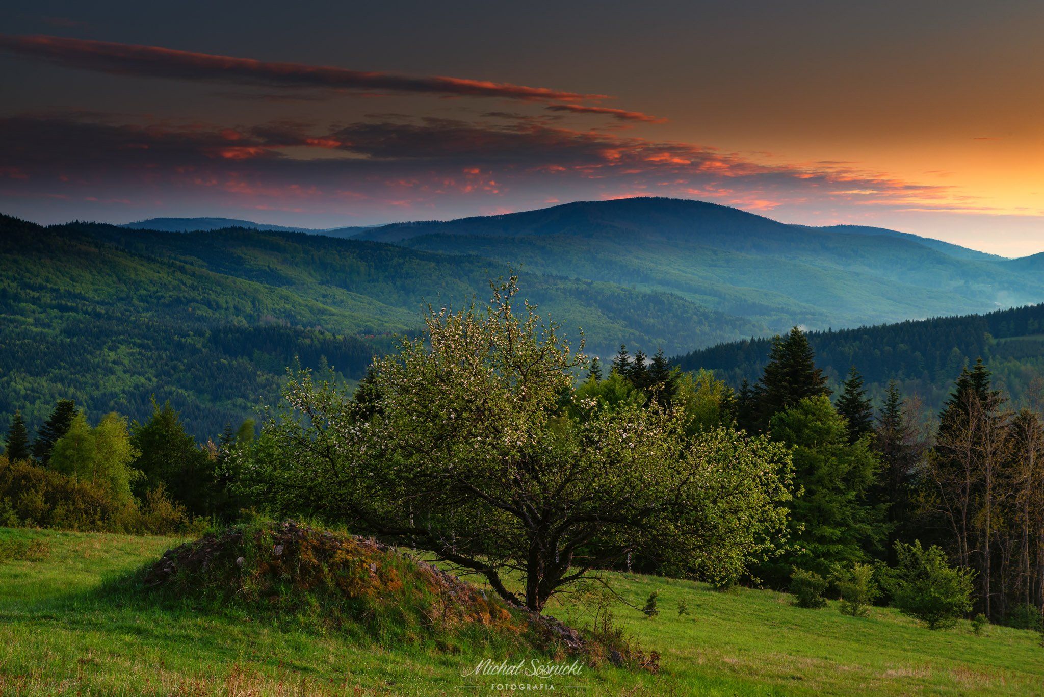 #sunset #mountains #tree #color #pentax #benro #nature #amazing, Michał Sośnicki