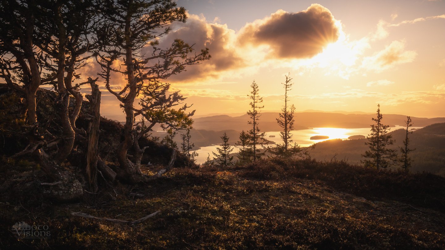 sunset,landscape,forest,mountains,trees,tree,boreal,norway,norwegian,nature,, Adrian Szatewicz
