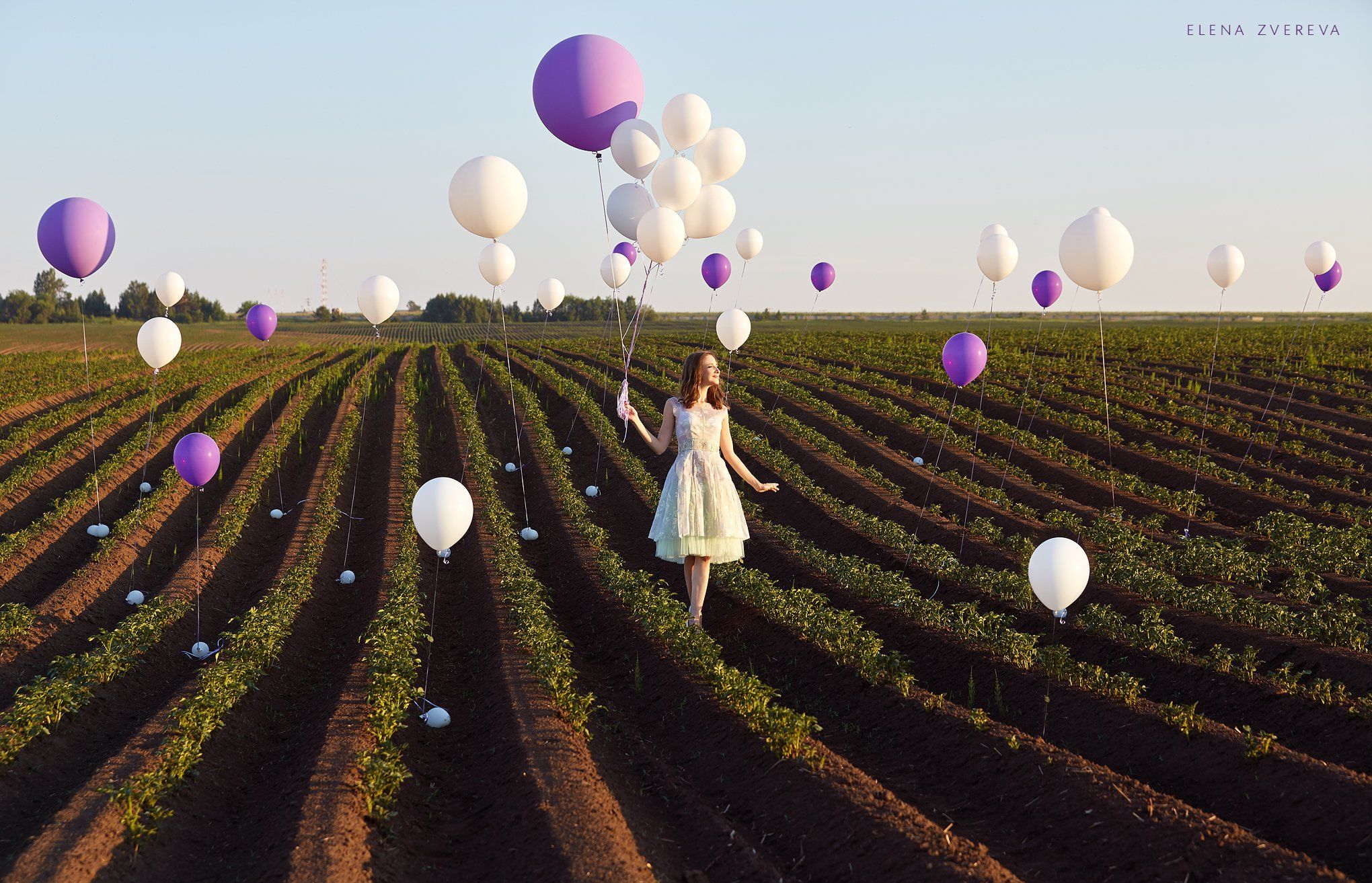 ballons, портрет, арт, лето, поле , Елена Зверева