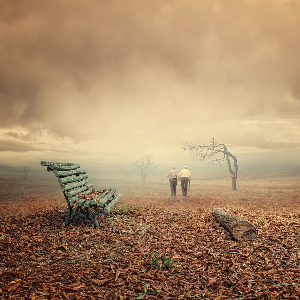 autumn, mist, fog, old, leaf, bench, photoshop, tutorial, frined, Caras Ionut
