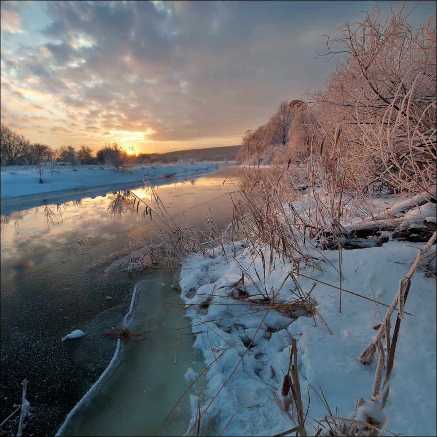 , Полищук И.В.