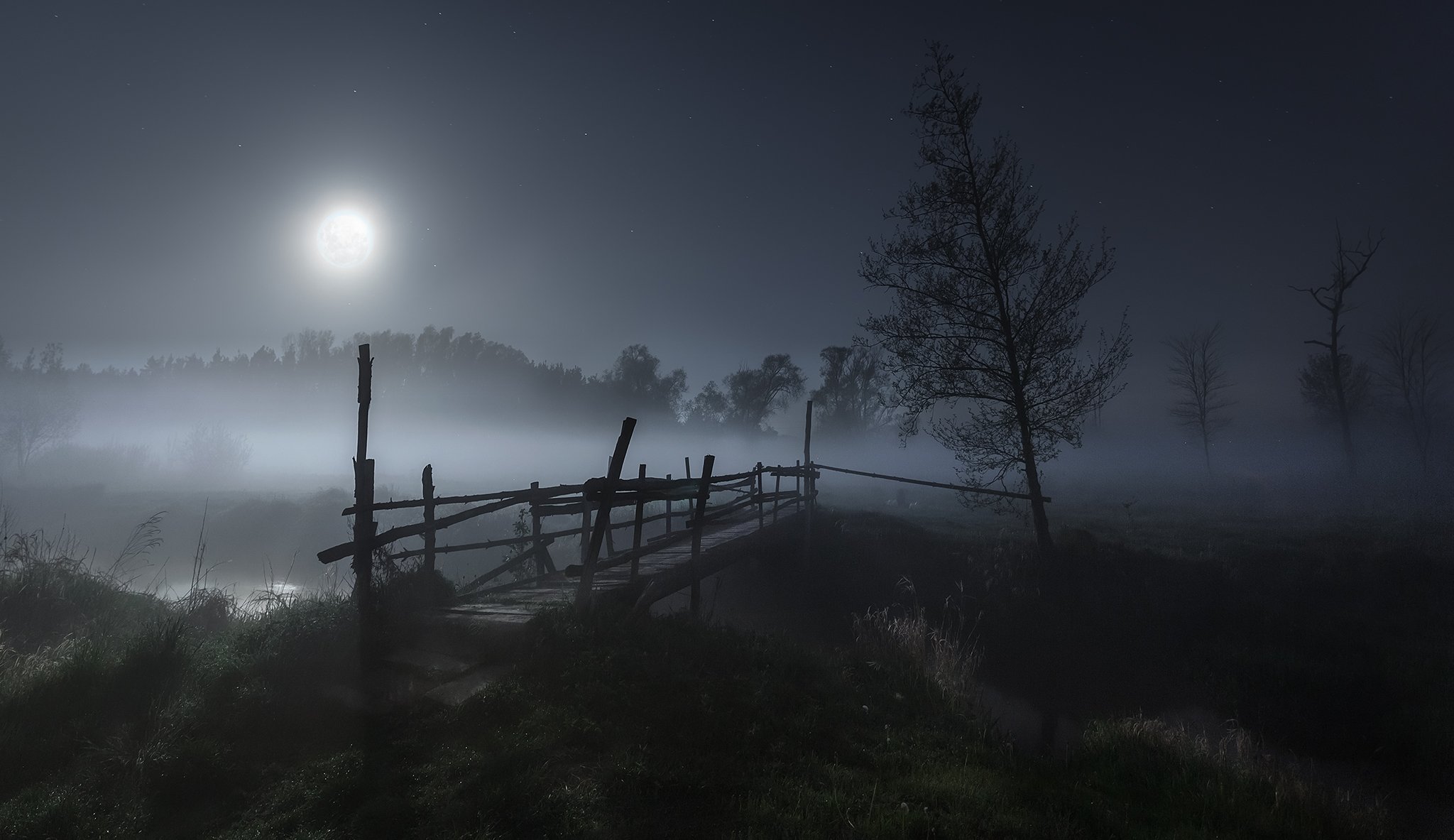 moon, river, fog, night, Pawel Olejniczak