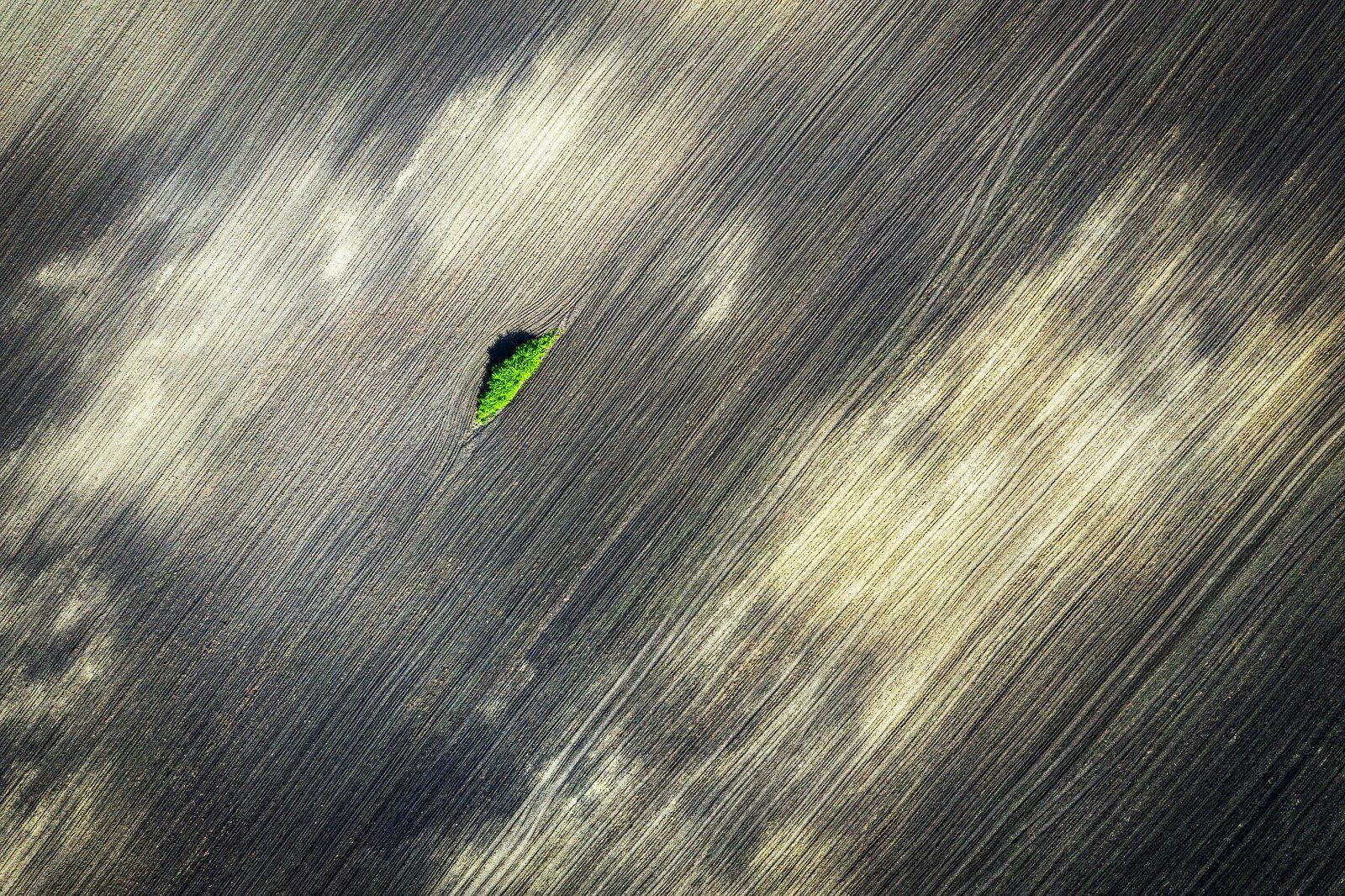 #air, #airphotography, #abstract, #nature, #romania, #, minimal, #green, #beauty, in, nature, #drone, Gheorghe Popa
