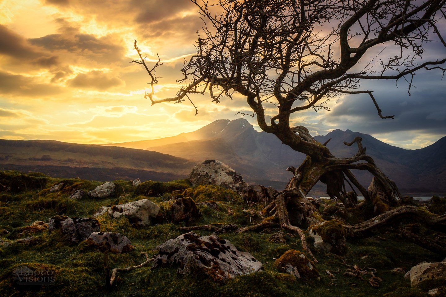 isle of skye,skye,scotland,highlands,sunset,tree,mountains,nature,natural,landscape,, Adrian Szatewicz