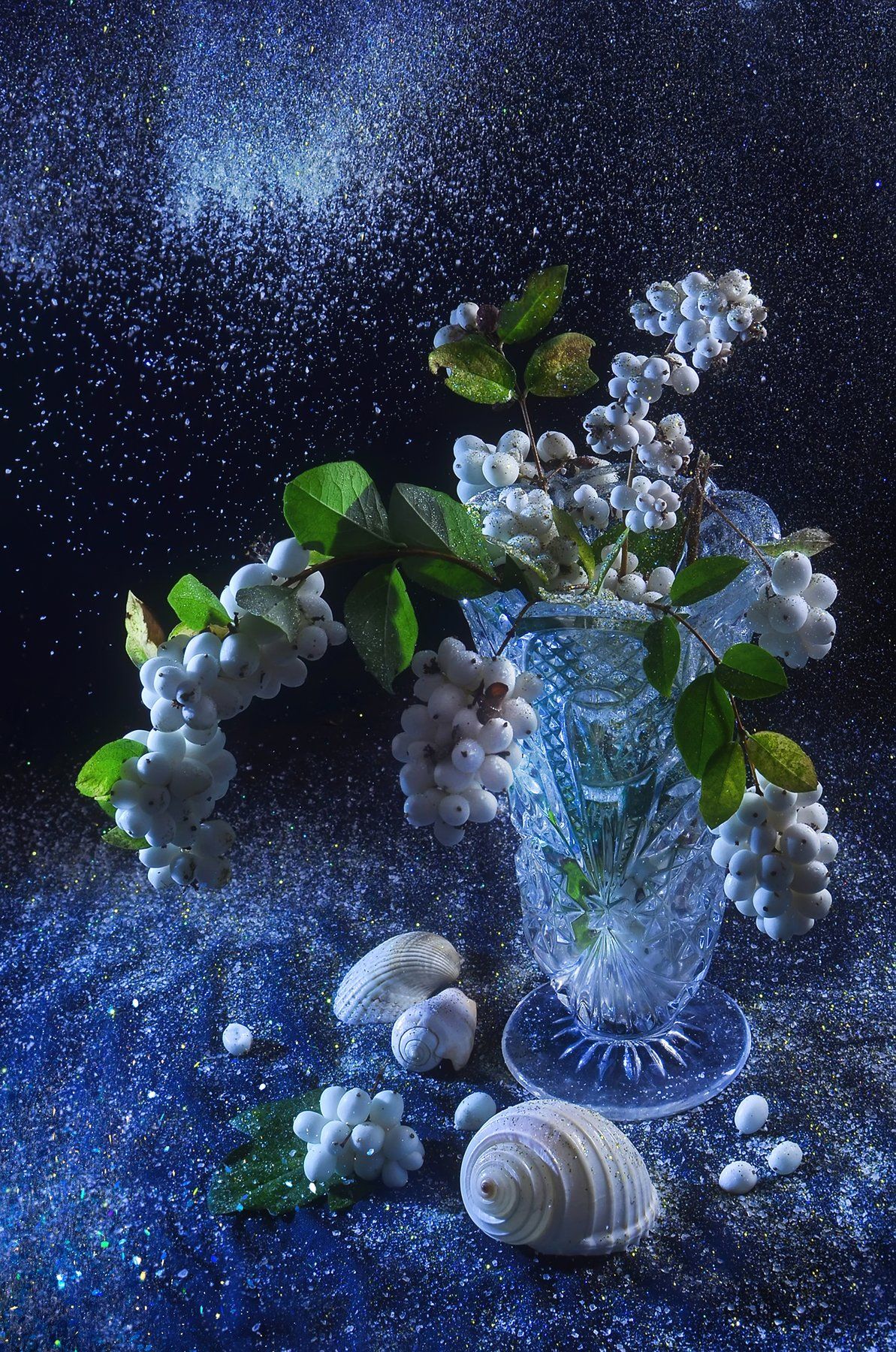 ягодки,цветок,блёстки,синий,ракушка,натюрморт,хрусталь, Владимир Володин