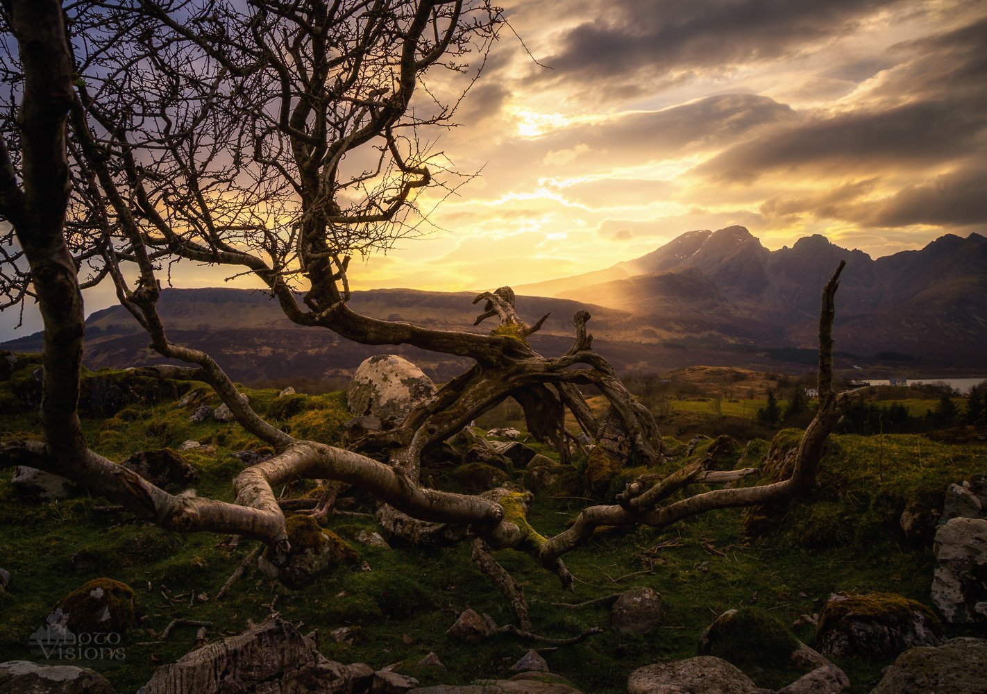 isle of skye,skye,sunset,tree,nature,scotland,scottish,highlands,mountains,, Adrian Szatewicz