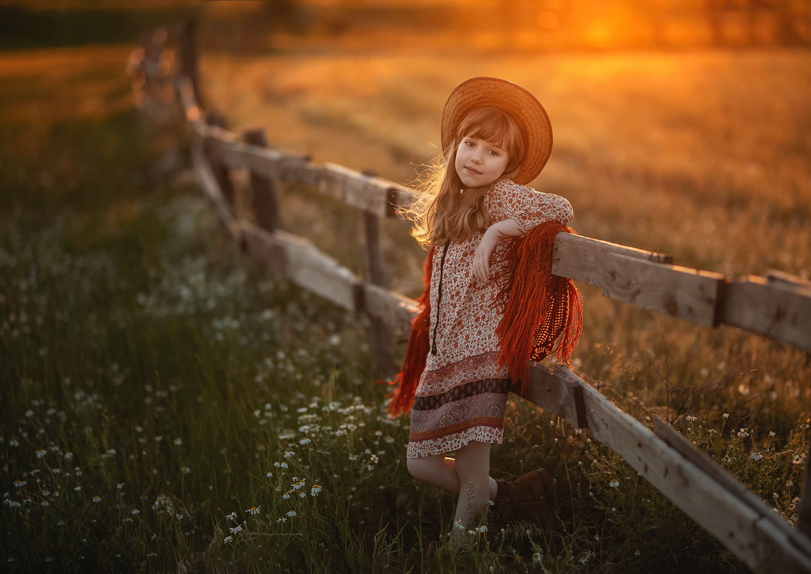 ребенок детство девочка кавбойская шляпа деревянный забор ромашки вечер закат весна ферма, Марина Еленчук