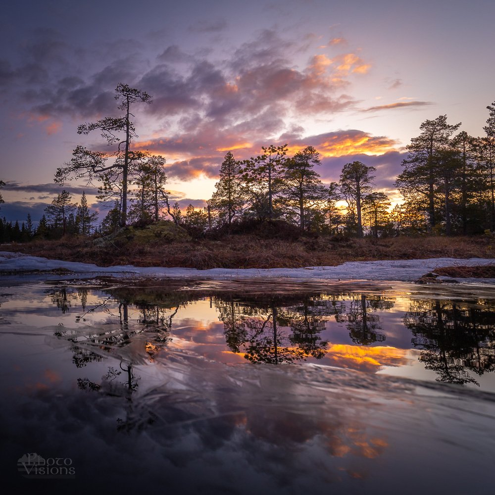 sunset,boreal,norway,norwegian,scandinavia,forest,woodland,sky,, Adrian Szatewicz