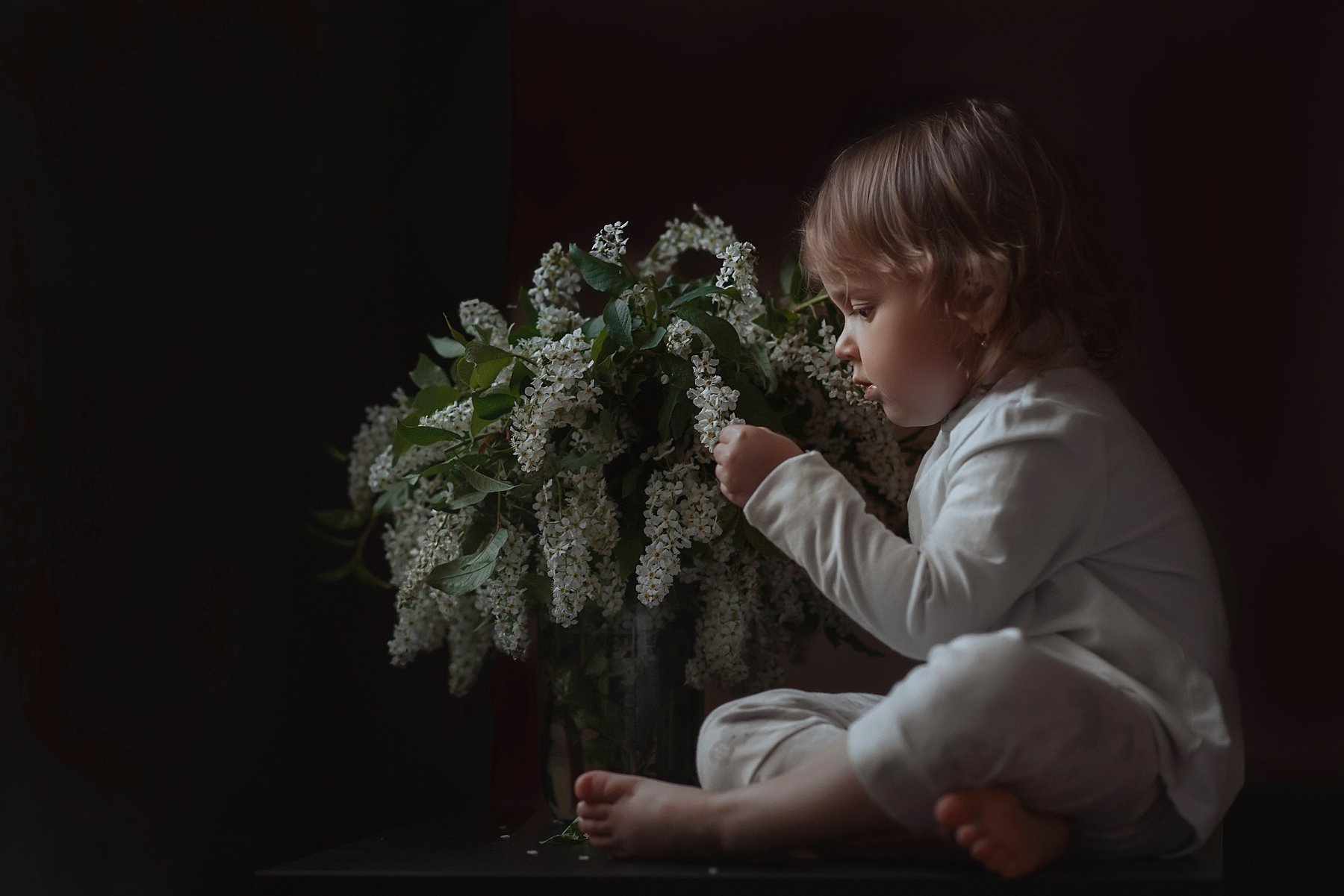 цветы, черемуха, ребенок, Лариса Фомина