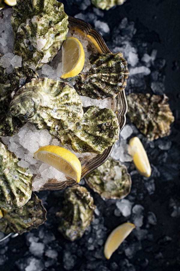 food photography fresh oysters seafood raw foodie still life flatlay, Elnora Atnagulova