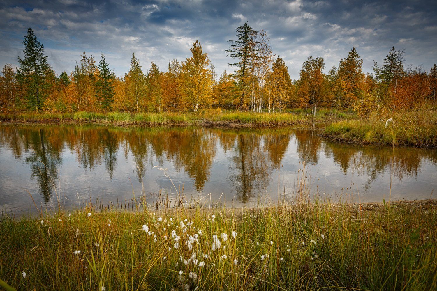 , Евгений Кужилев