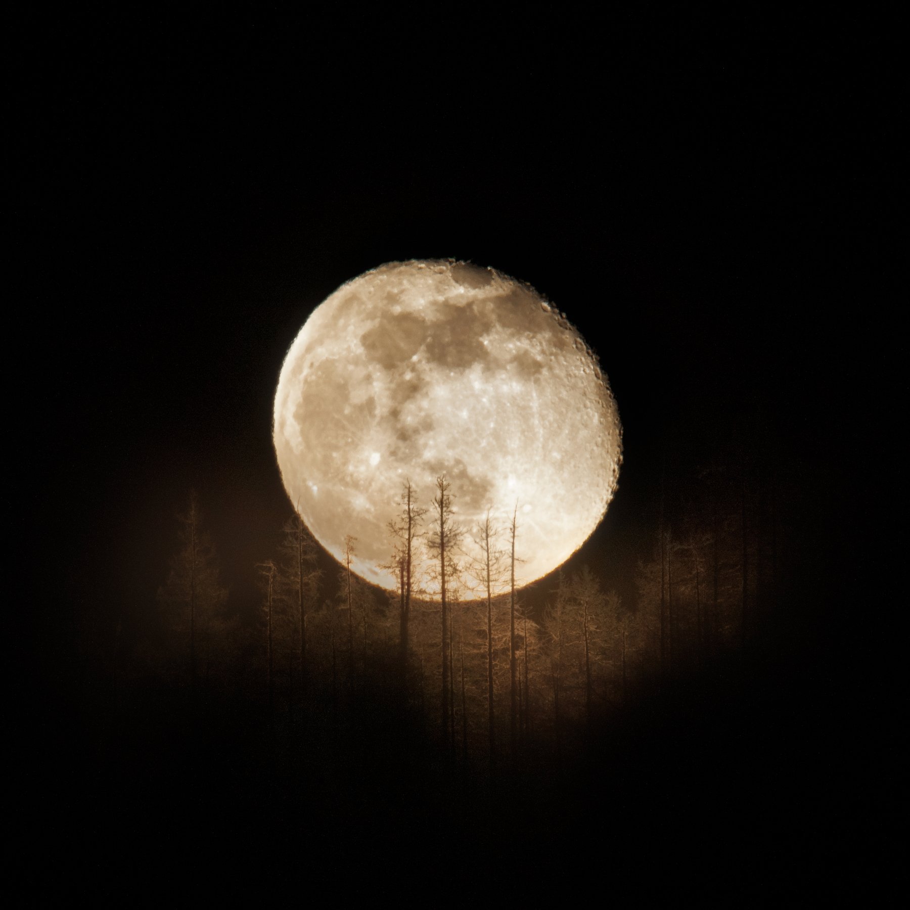 moon, moonlight, astrophotography, astro, night, nightphoto, pentax, Денис Лубсанов