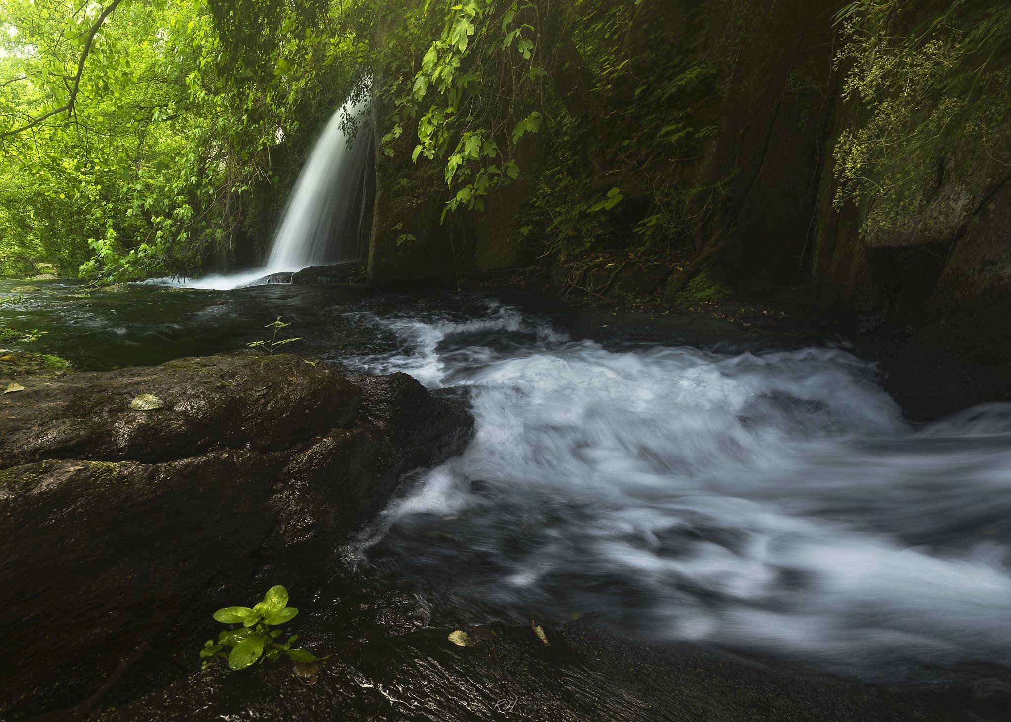 #landscape #mountains #italy #forest #waterfall, Roksolyana Hilevych