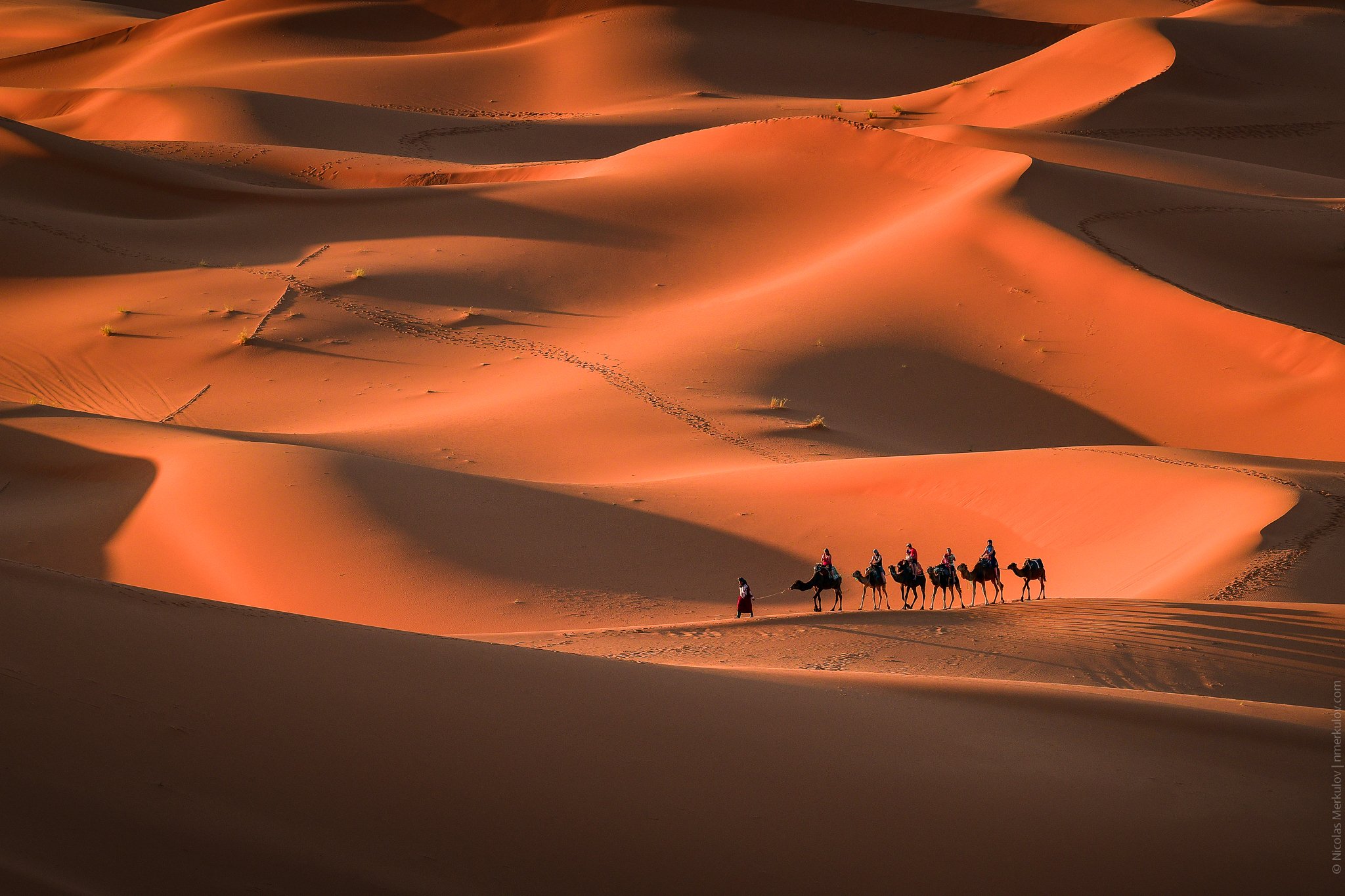 morocco, africa, sahara, desert, caravan, camel, travel, landscape, people, sunset, nmerkulov, nmerkulovphotography, Николай Меркулов