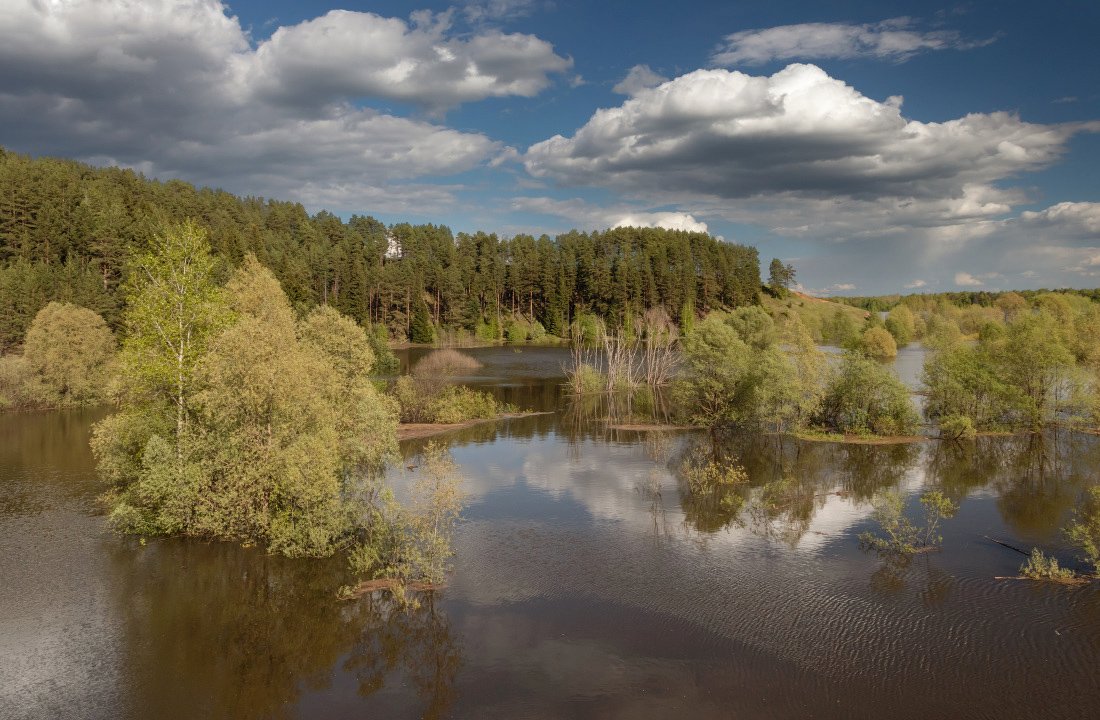 Река вода паводок деревья лес весна облака небо Кама Удмуртия, Георгий Машковцев