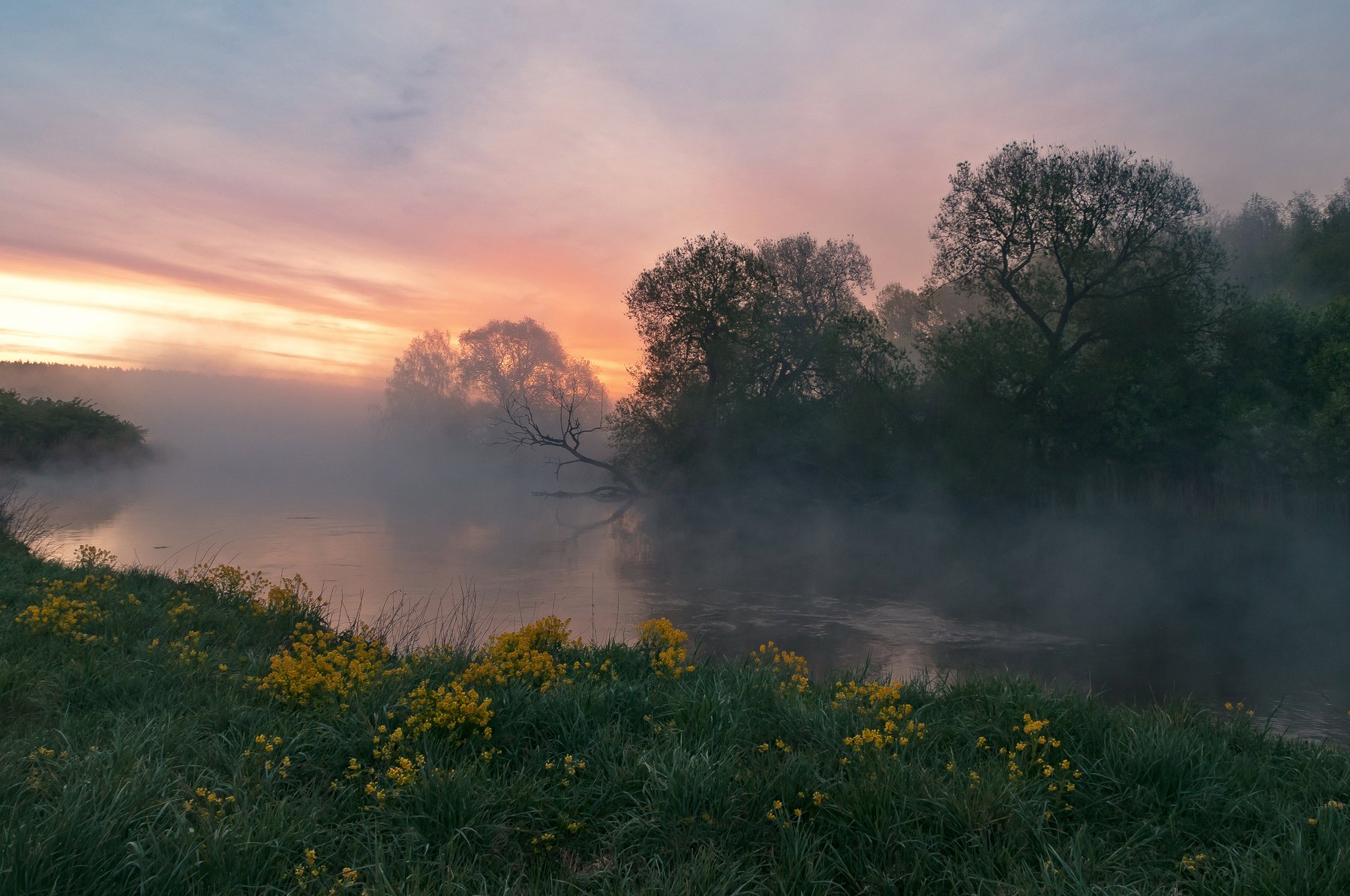 утро, свислочь, туман, весна, пейзаж, Александр Гвоздь