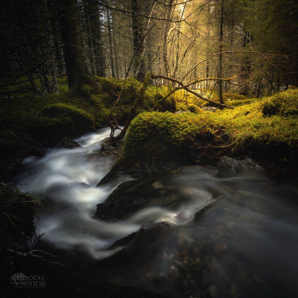 norway,nature,boreal,natural,forest,woodland,woodlands,norwegian,stream,, Adrian Szatewicz