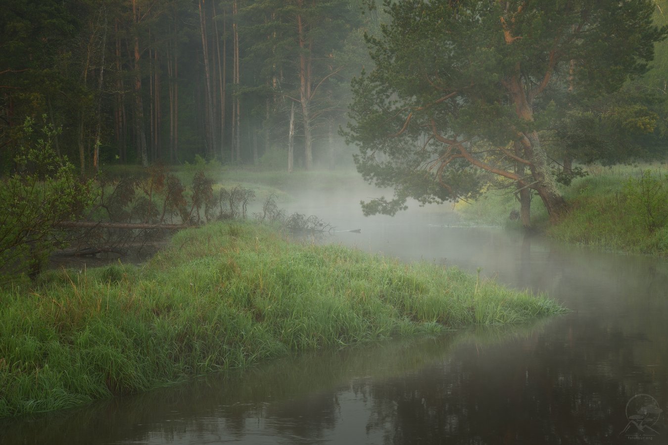 пейзаж, природа, река, туман, весна, Анатолий Гордиенко