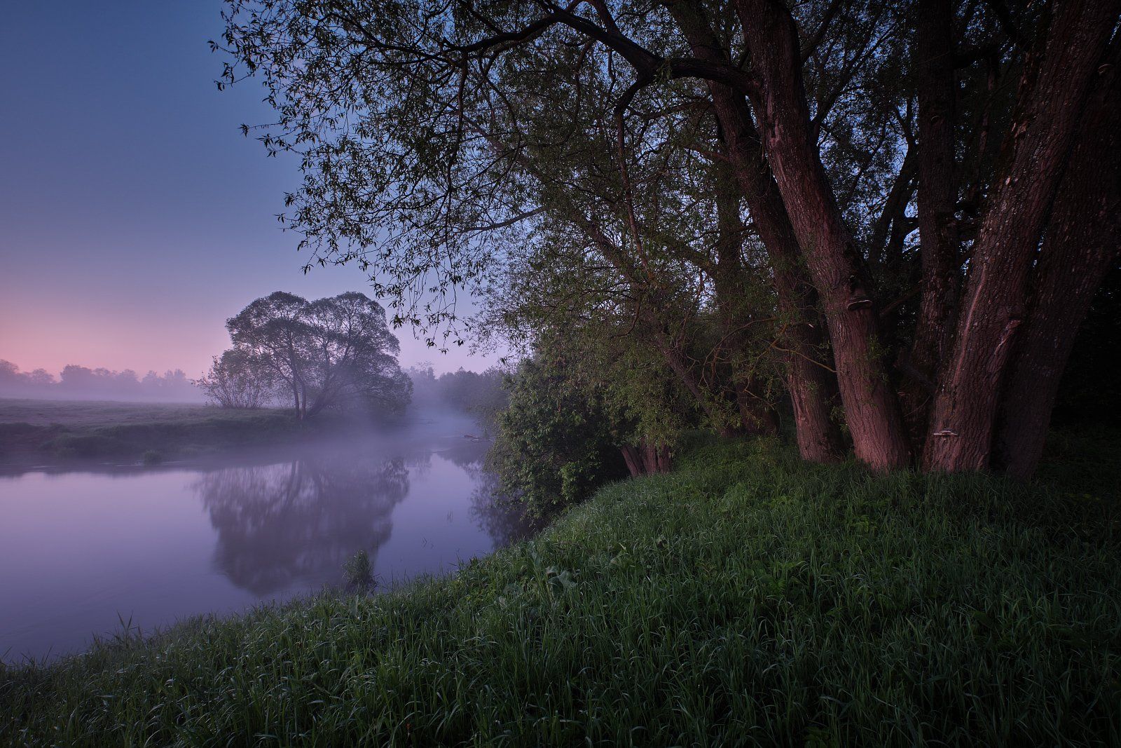 река, утро, туман, деревья, отражение, Григорий Бельцев