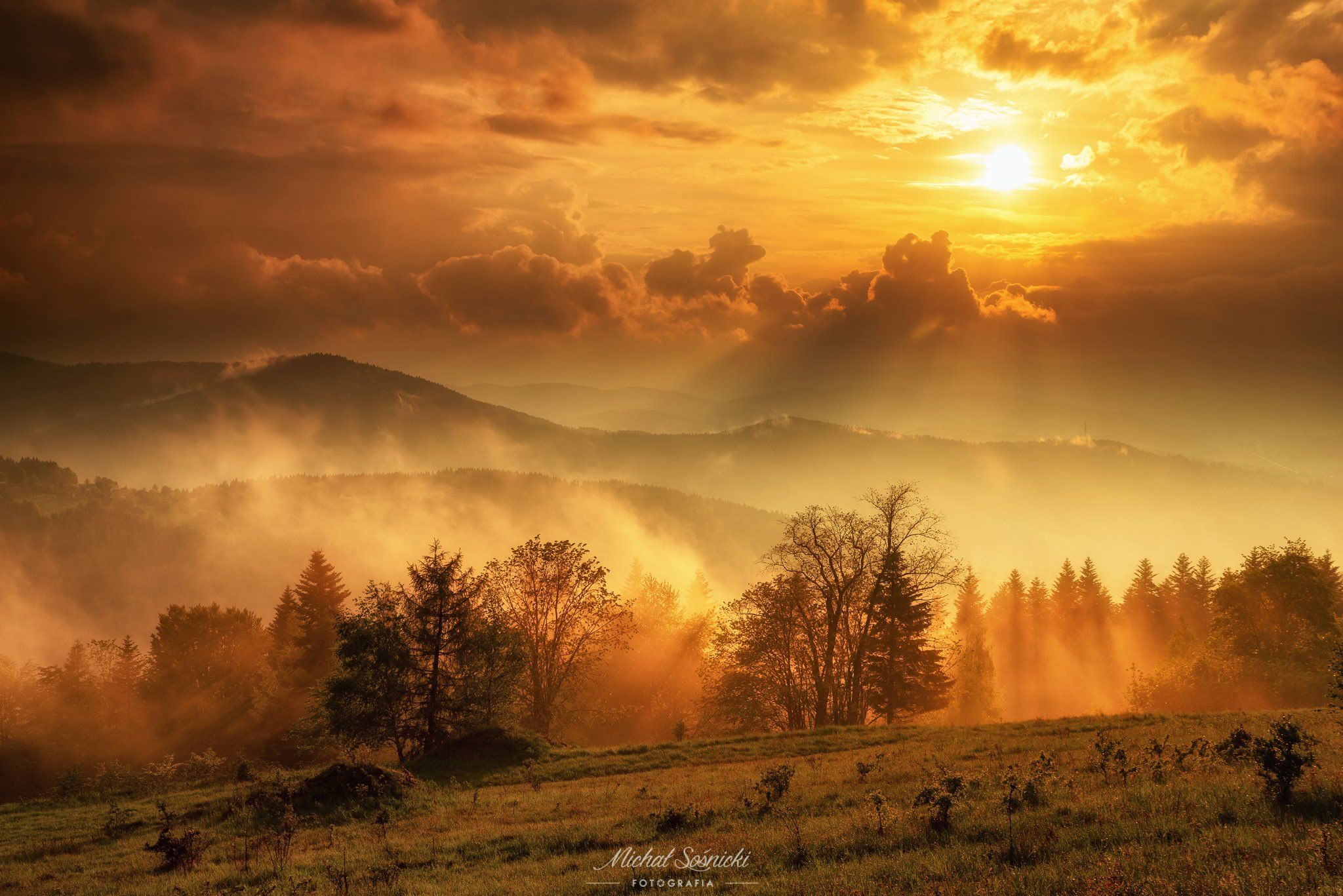 #after #storm #landscape #foggy #sun #nature #amazing #pentax #benro, Michał Sośnicki