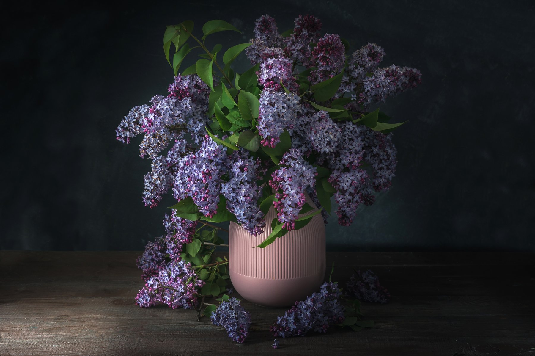 lilac, spring, flower, still life, dark, bouquet, Anna Makarenkova