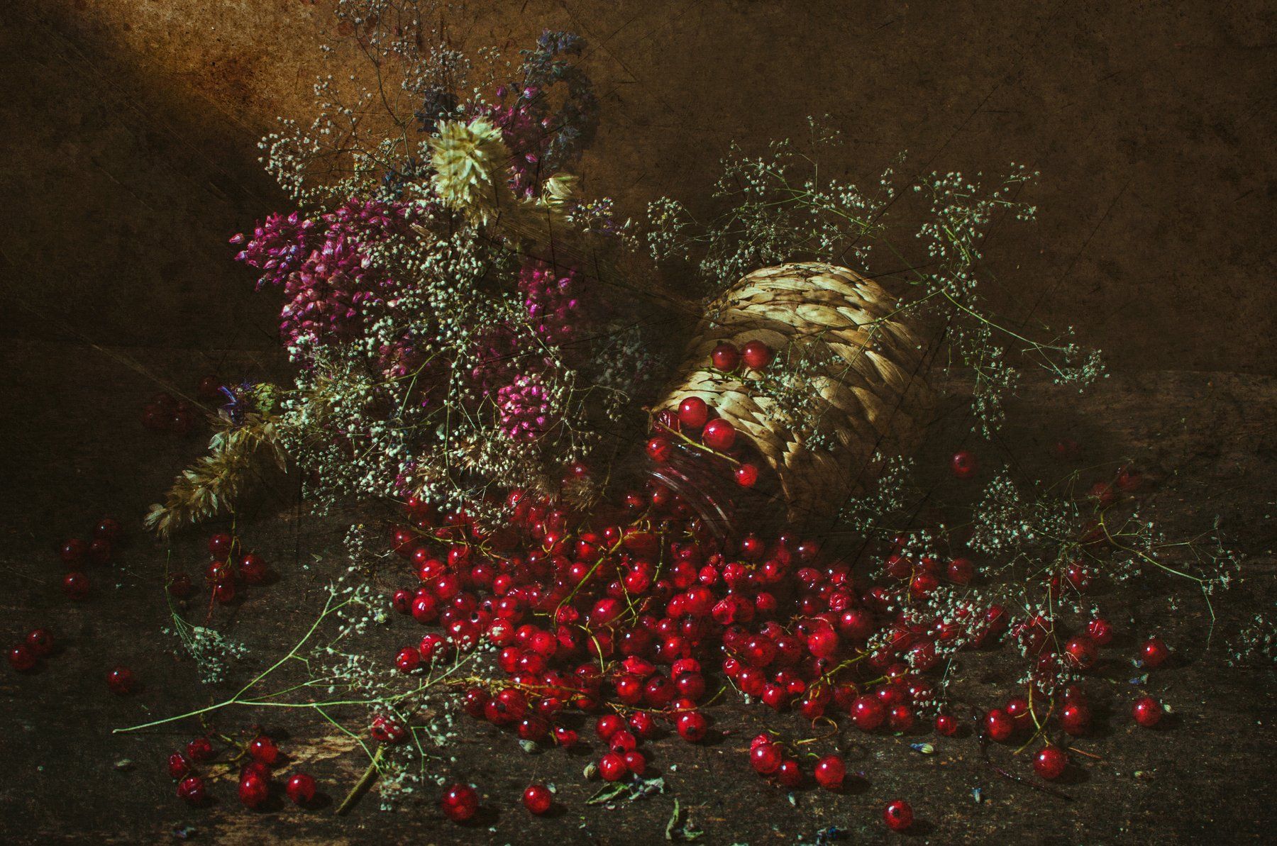смородина,старый,красный,травы, цветы,ягоды, Владимир Володин