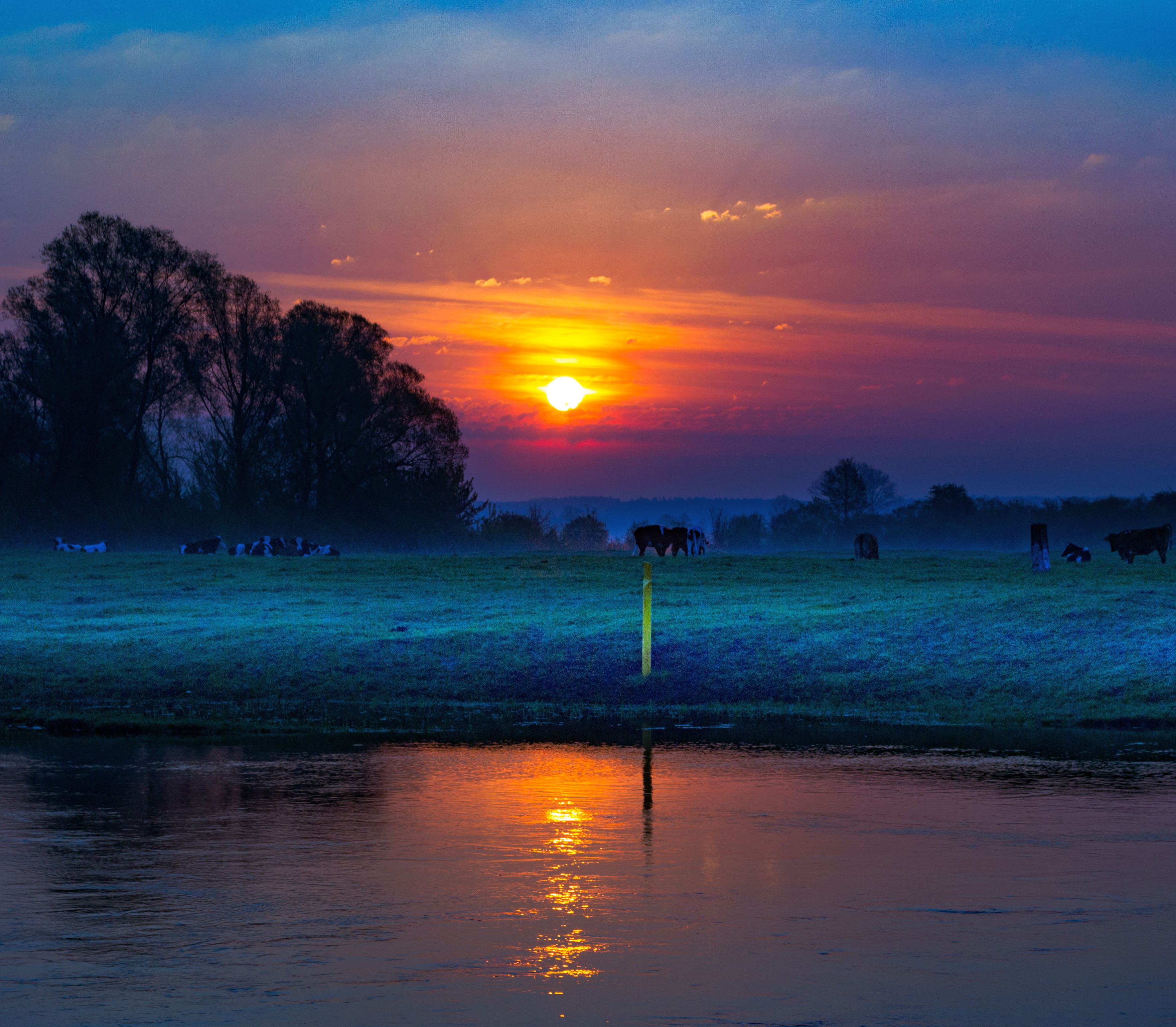 Sun  Landscape - Scenery  Cloud - Sky  Nature  Tree  Scenics - Nature  Sky  Beauty In Nature  Cow  Pasture  tooth  Mist  Nikon  Light  River  Good, Krzysztof Tollas