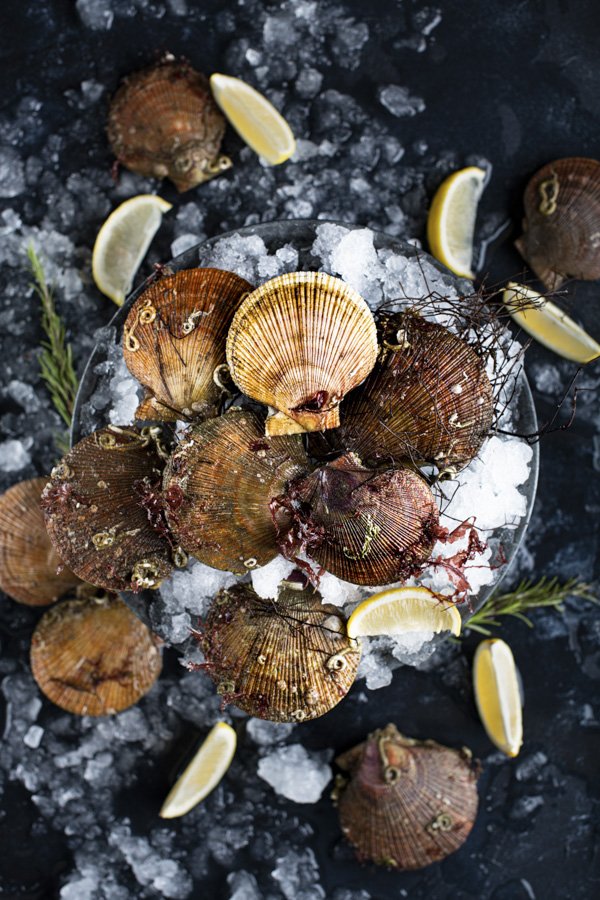 food photography fresh scallops seafood raw foodie still life flatlay, Elnora Atnagulova
