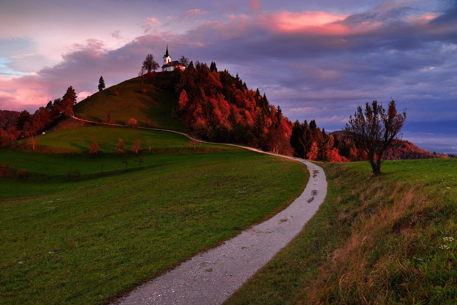 slovenia, sunrise, morning, trail, autumn, light, route, road, hill, tree, church, cloud,, Jacek Lisiewicz