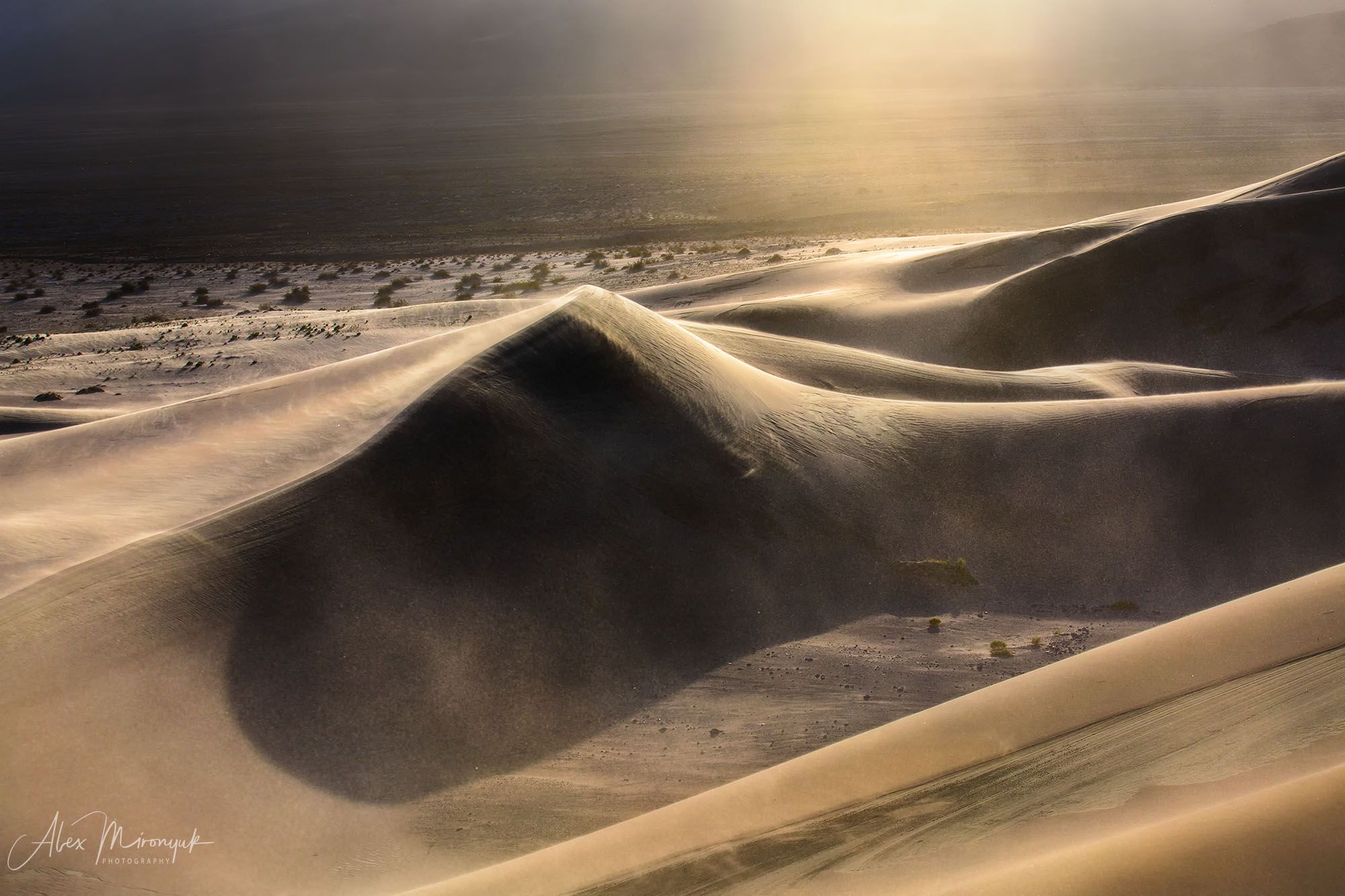 Пустыня, дюны, песок, свет, тень, абстракция, паттерн, узор, фото-тур, США, Америка, , Alex Mironyuk
