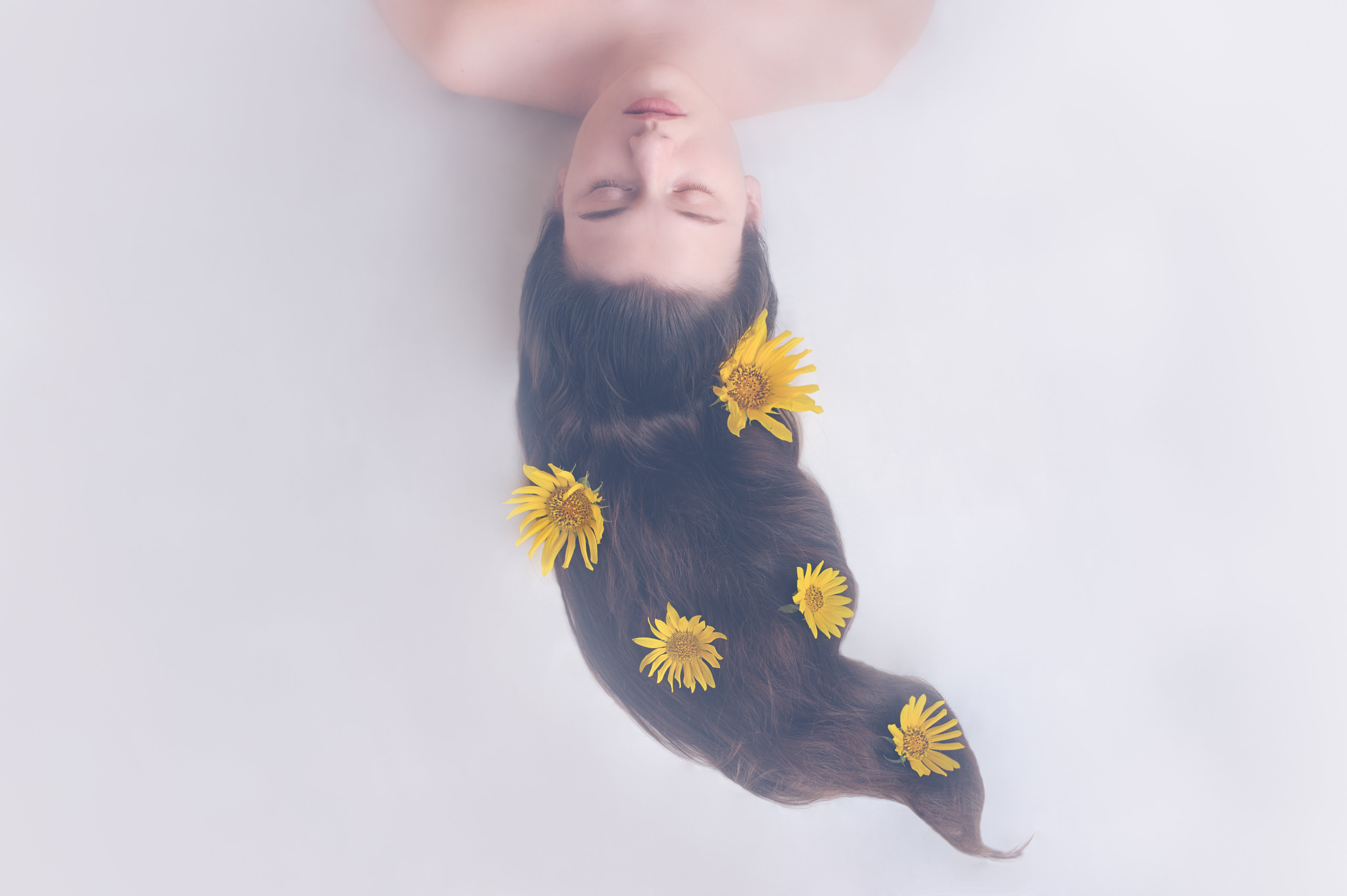 girl, sunflower, hair, sleep, eyes, closedeyes, longhair, yellow, Ekaterina Weber