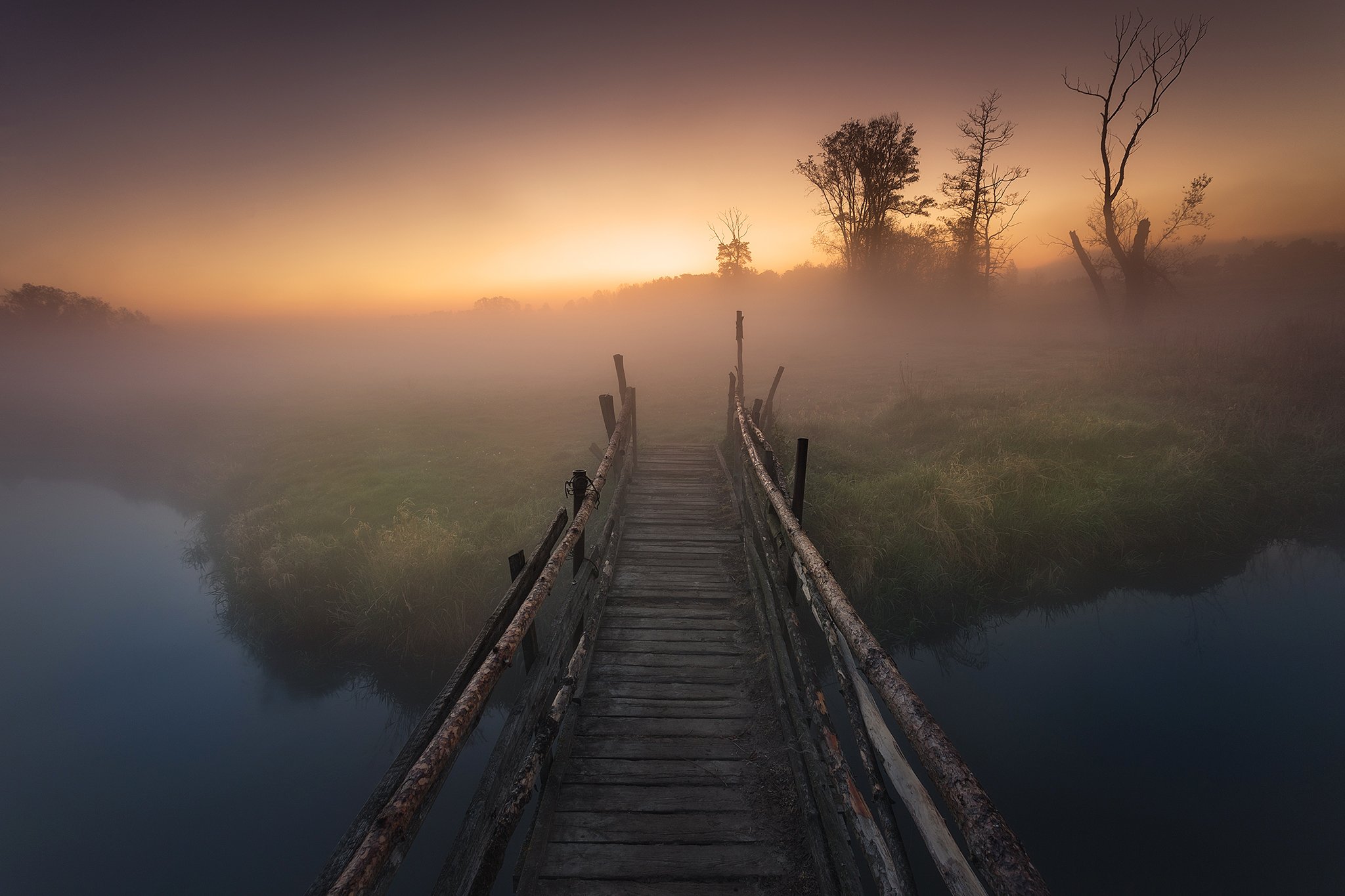river, fog, tree, sunrise, water,, Pawel Olejniczak