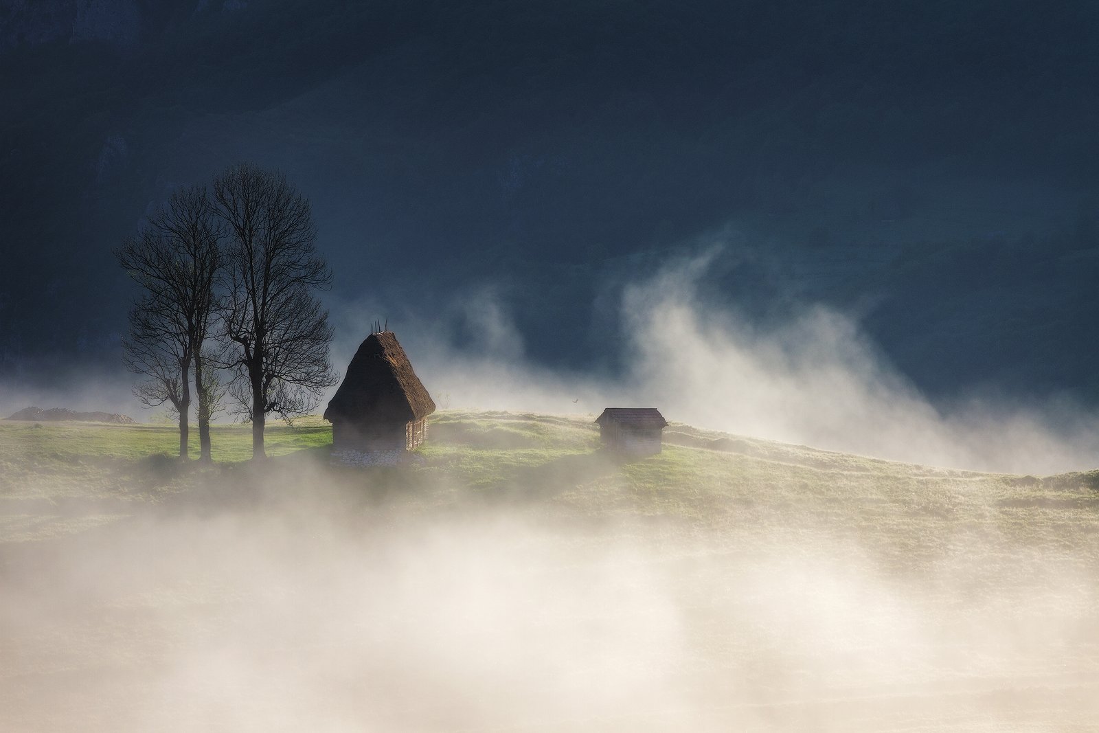 summer, trees, fog, landscape, travel, nature, mountain, romania, cold, sunrise, morning, house, light, Lazar Ioan Ovidiu