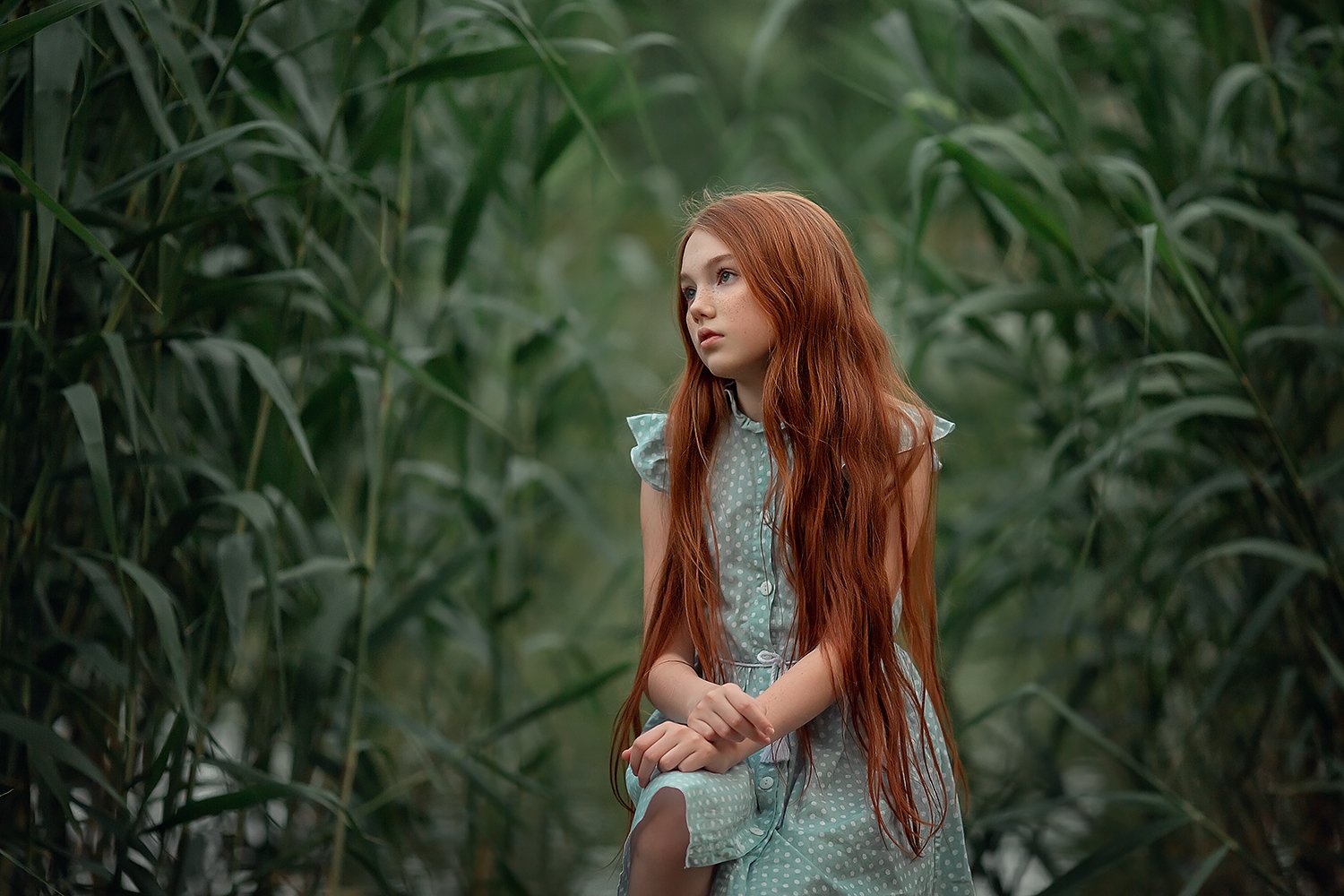 камыши, девочка, портрет, рыжая девочка, рыжие волосы, Екатерина Белоножкина