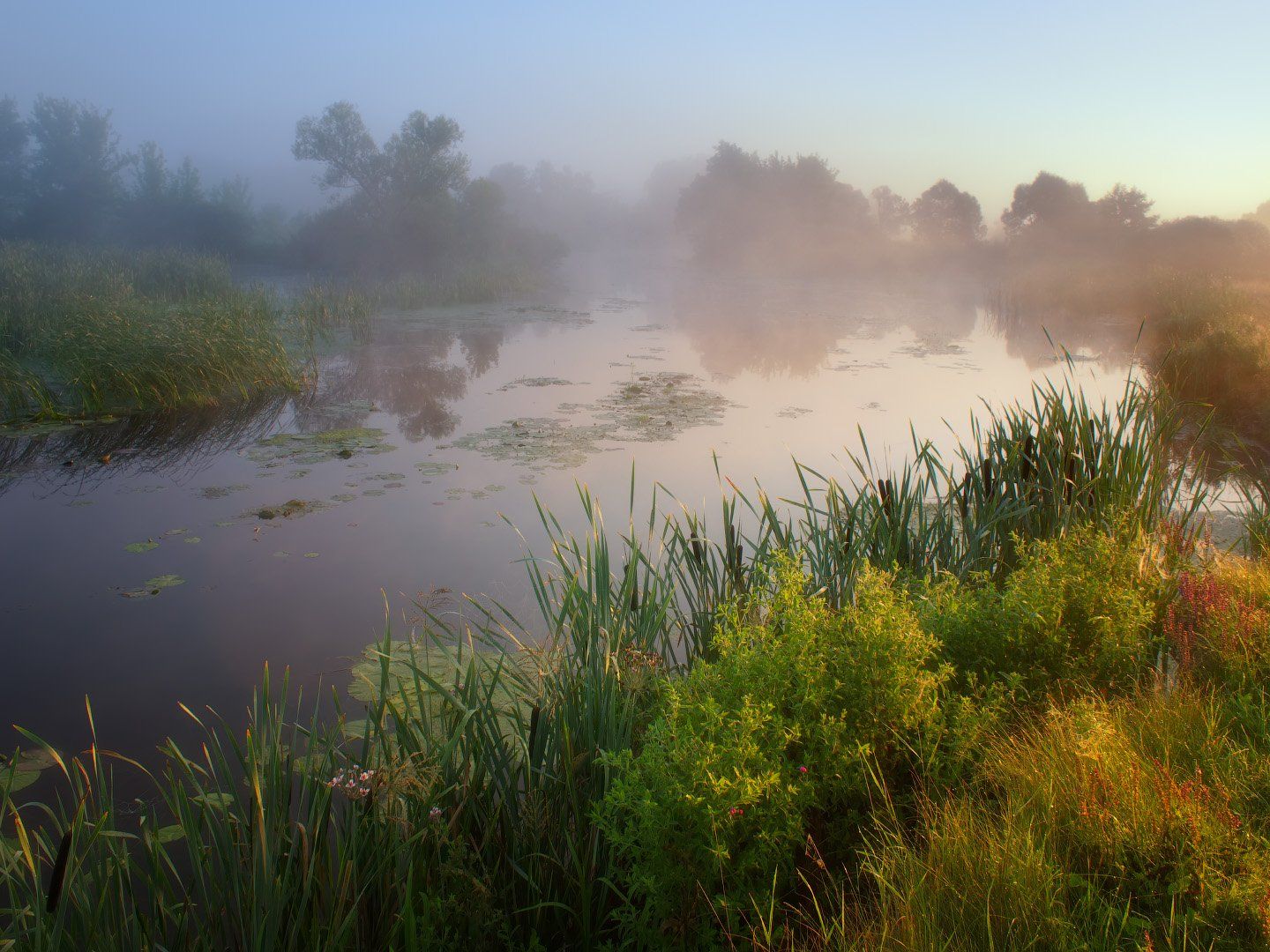 утро, волчья, река, туман, украина, пейзаж, природа, рассвет, Виктор Тулбанов