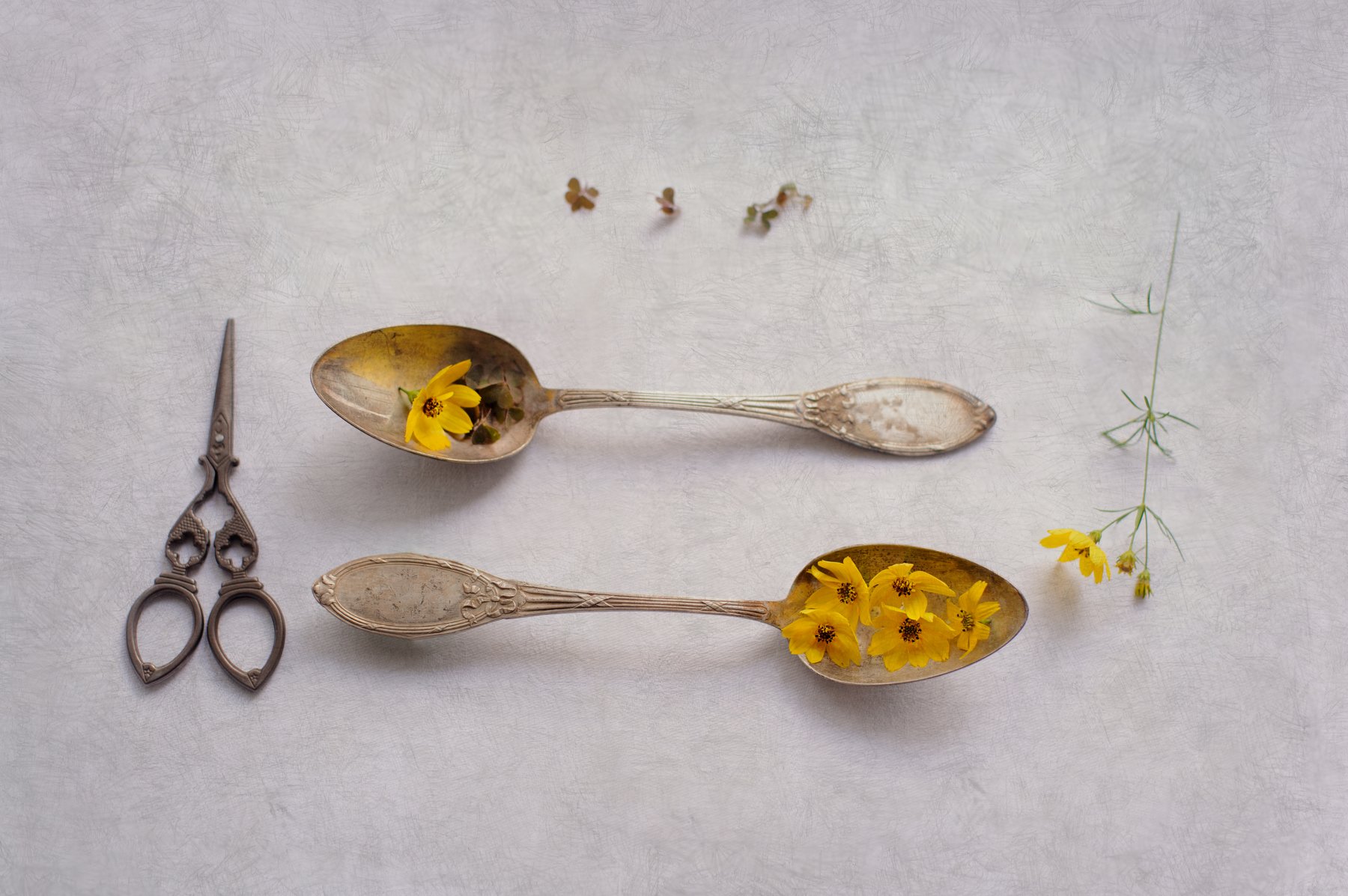 yellow, teaspoon, scisors, Ekaterina Weber