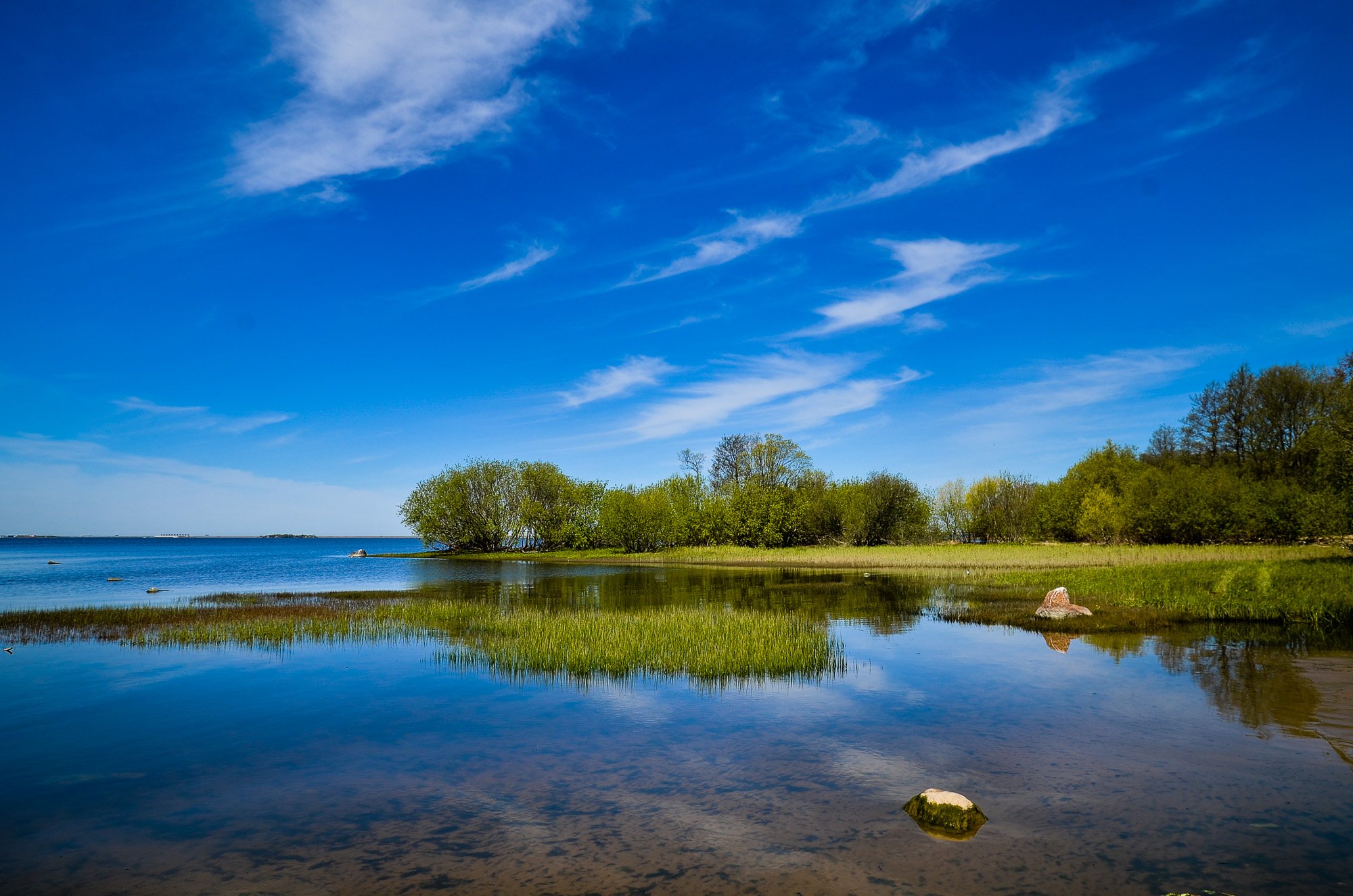 лето, питер, финский залив, фотография красиво, море, вода, пейзаж, Валерий Верещако