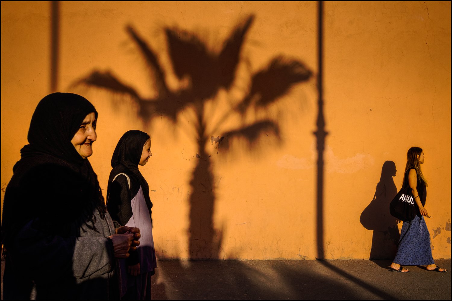 yancho sabev, street, morocco, marrakech, outdoor, palm tree, color, Yancho Sabev