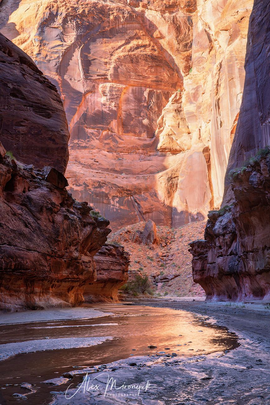 США, Аризона, Юта, каньон, щелевой, слот, пустыня, река, скала, отражение, , Alex Mironyuk