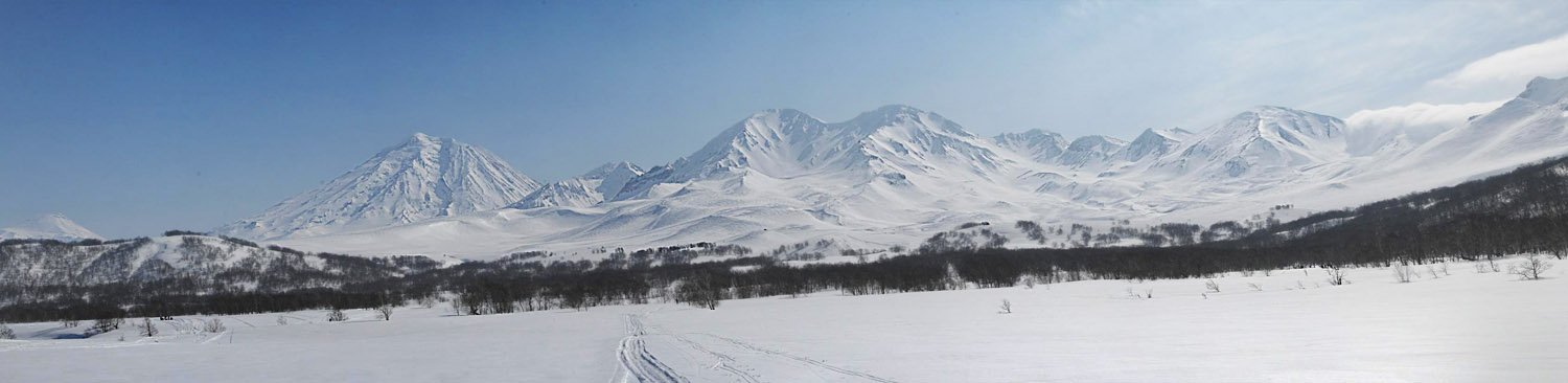 , Павлов Александр