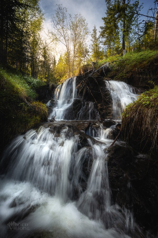 norway,norwegian,waterfall,falls,stream,forest,woods,woodland,trees,tree,spring,, Adrian Szatewicz